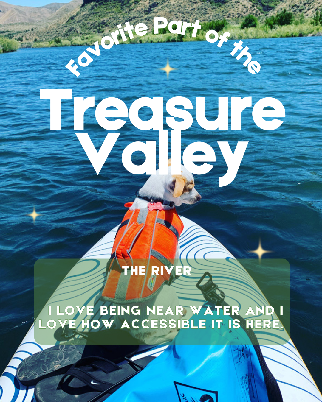 Dog wearing an orange life jacket on a paddleboard in the Treasure Valley river, with mountains in the background