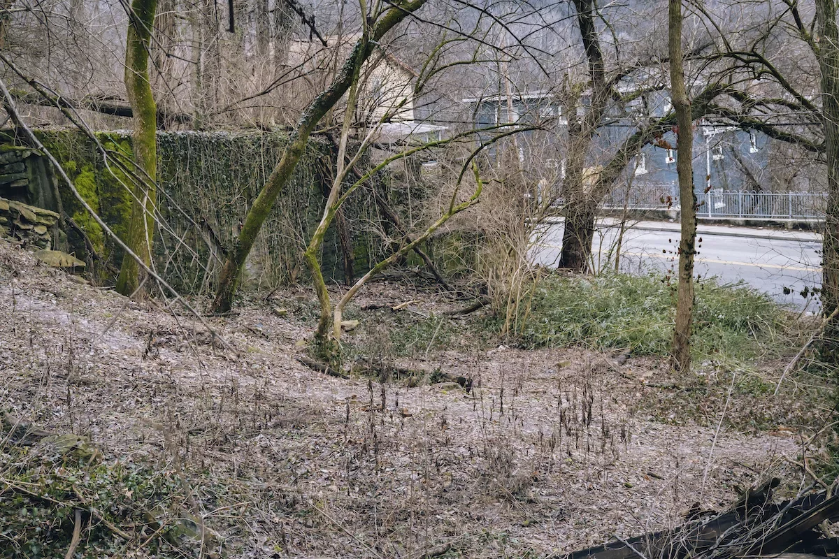 Luckey's torso was found by a passerby in this abandoned wooded lot about 100 feet off Baltimore Avenue in North Fairmount. Photo: Aidan Mahoney