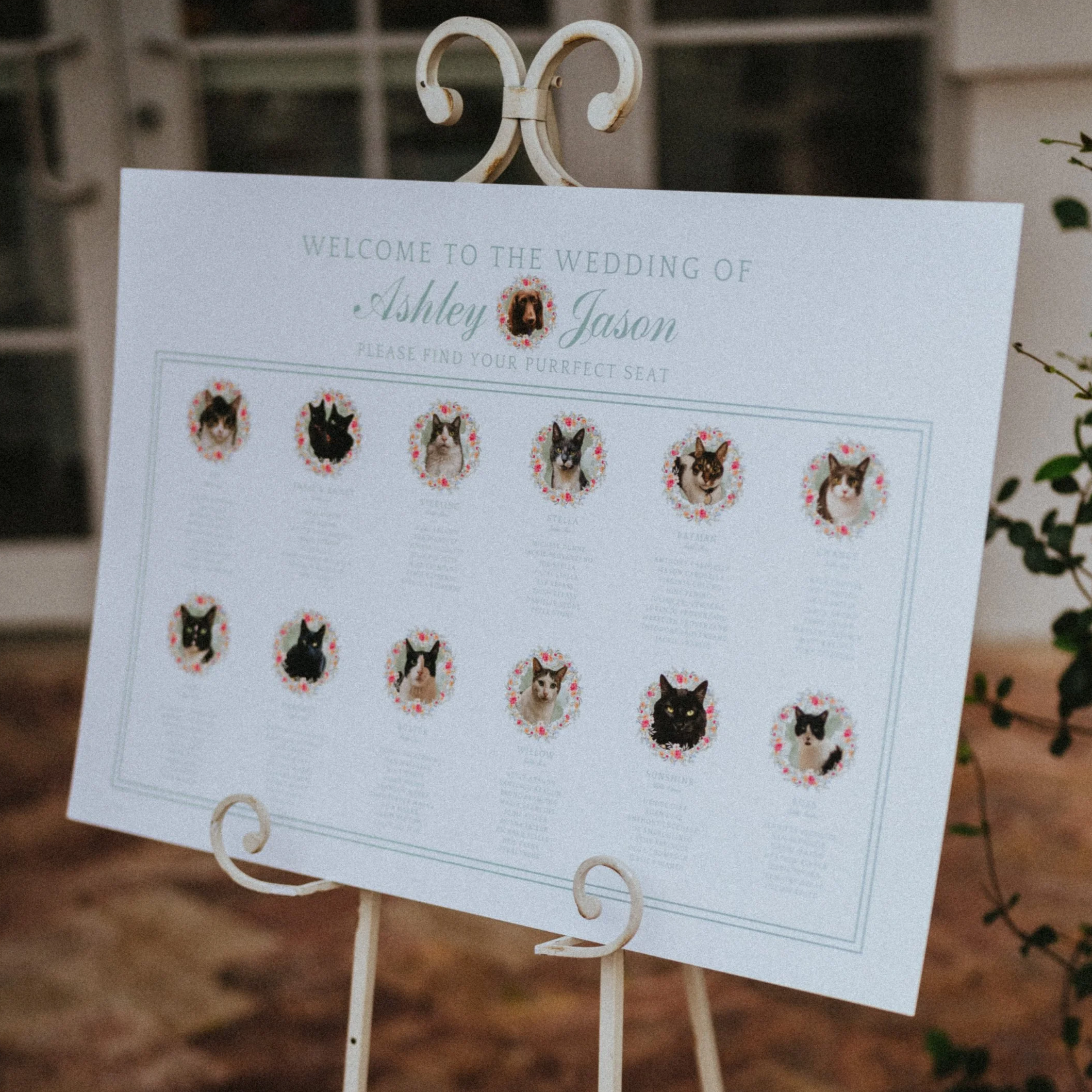 seating chart cat photos