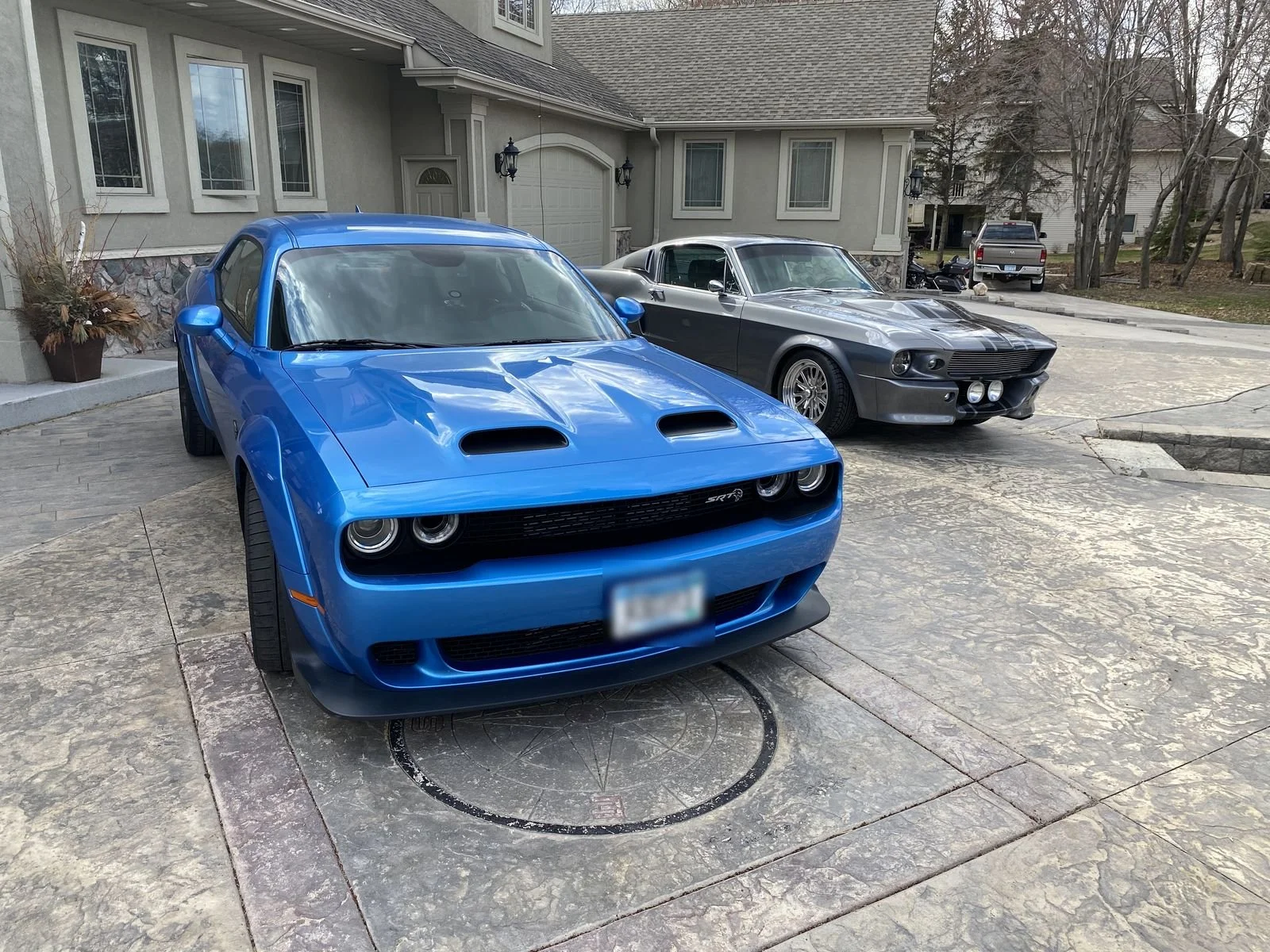 redeye-07-driveway-eleanor.jpg