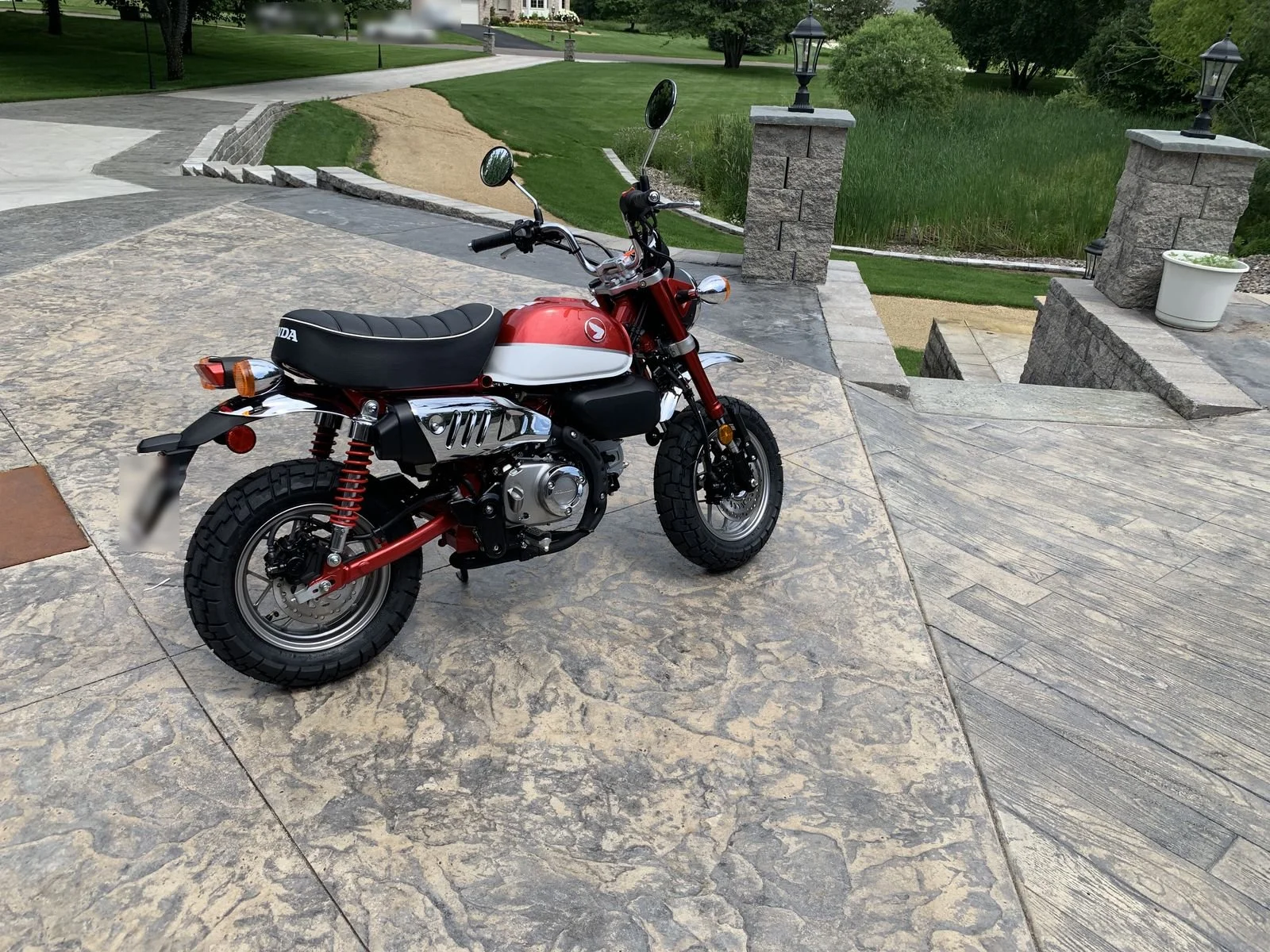 monkey-3-rear.jpg