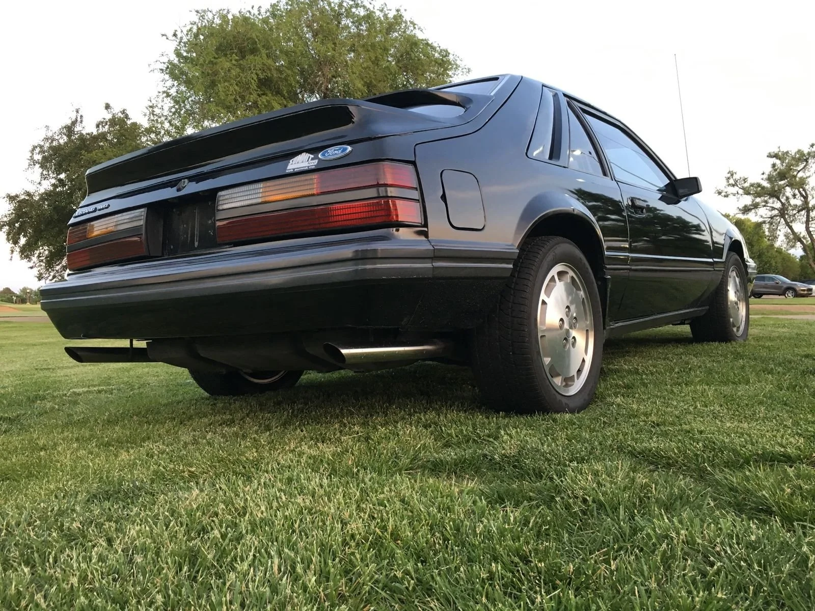 svo-03-rear-low.jpg