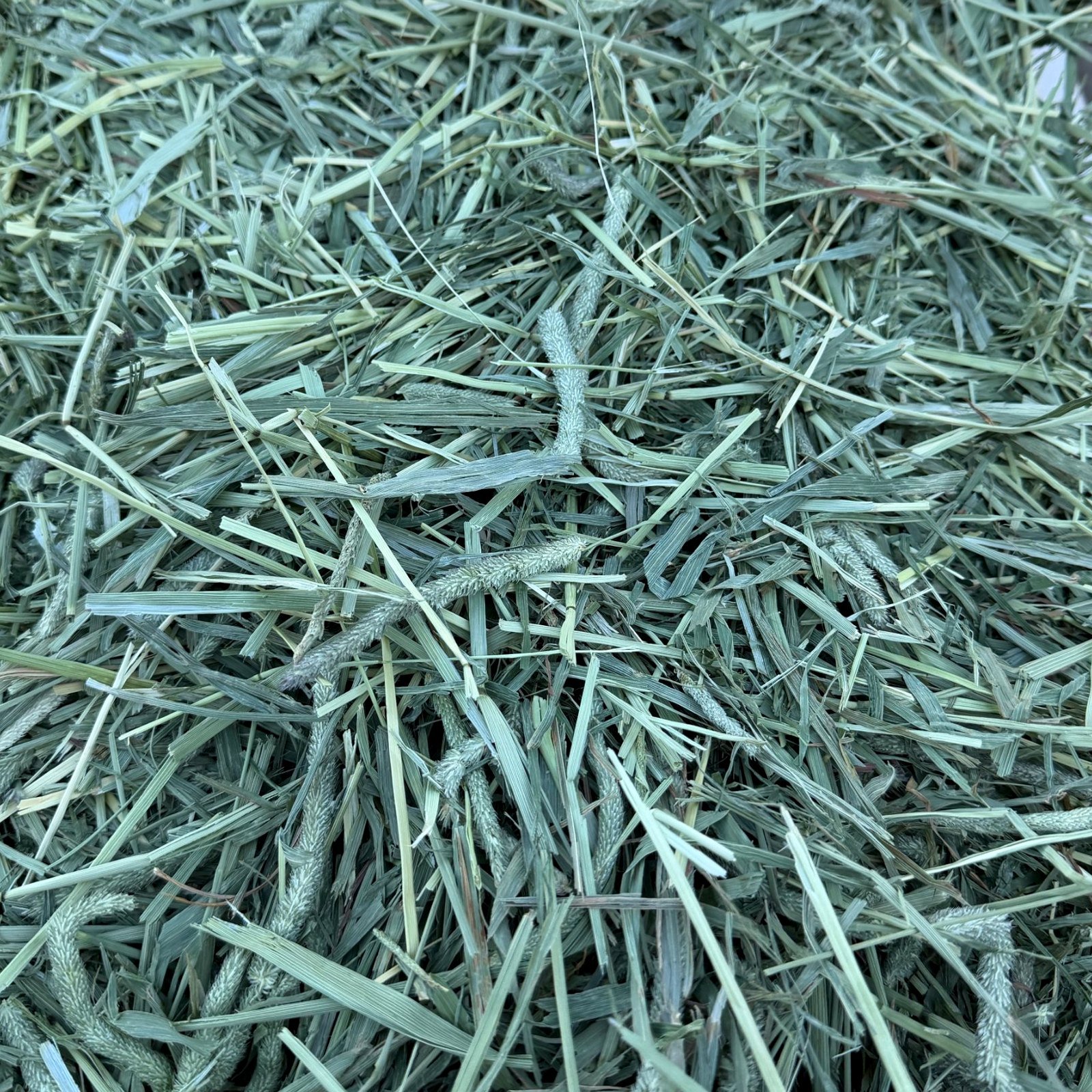 g6-timothy-bale.jpg