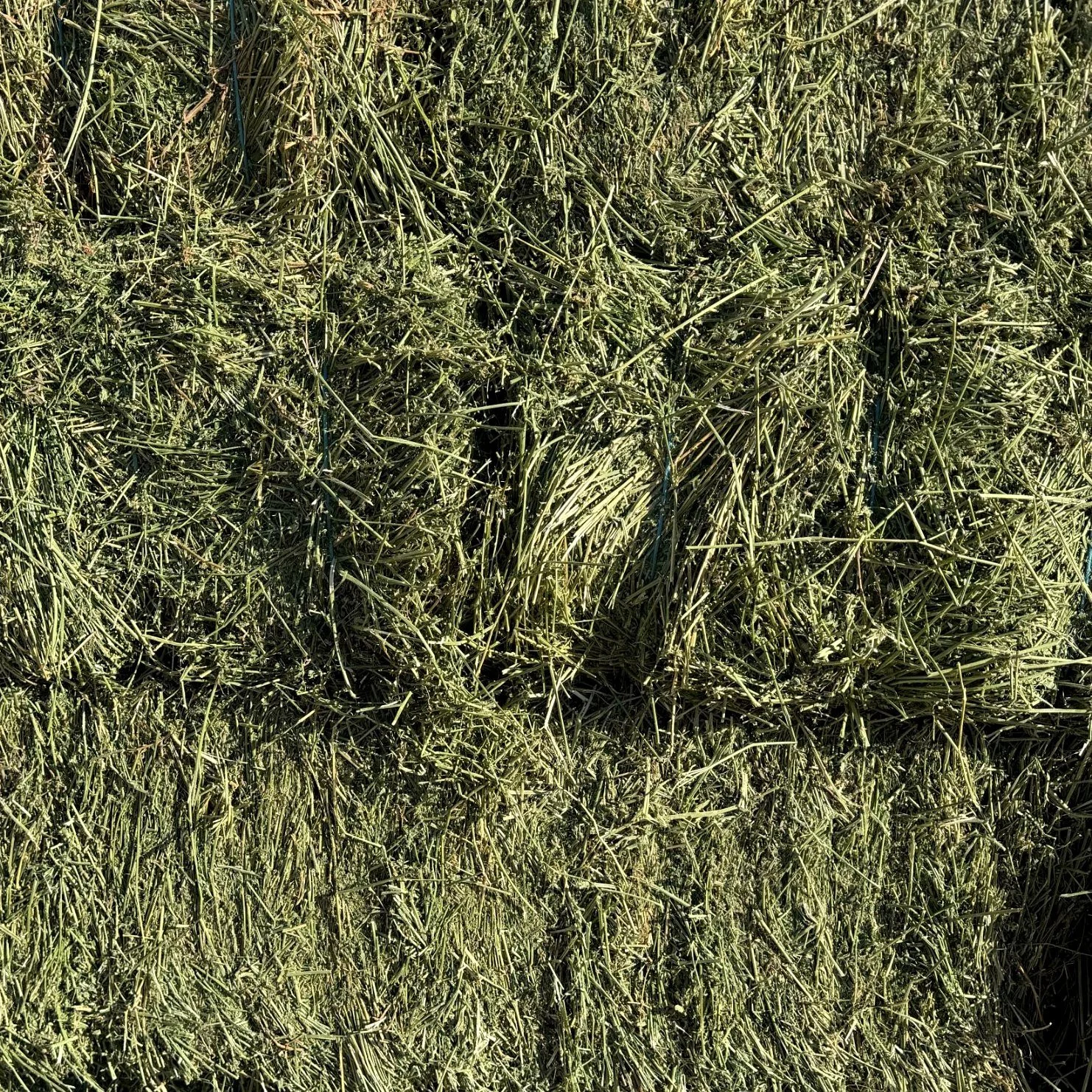 g6-bales-stack.jpg