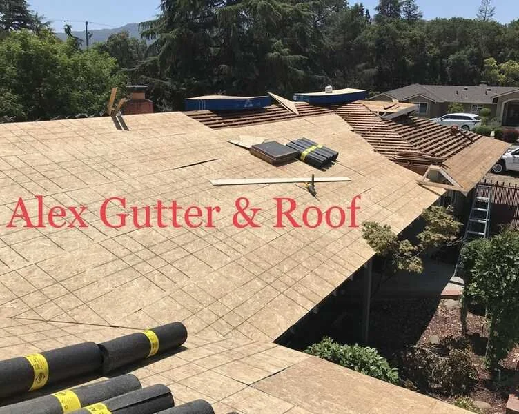 plywood Alex Gutter Roof