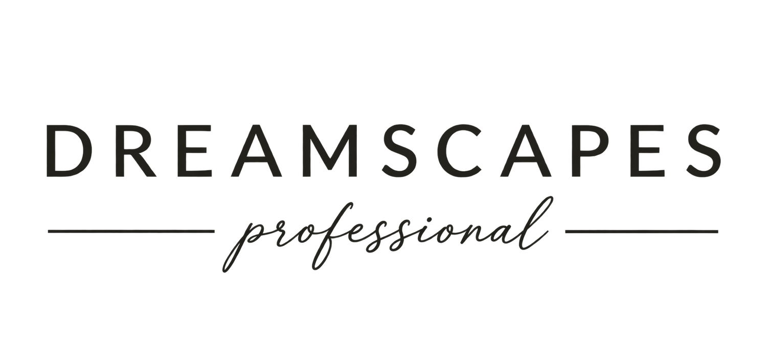 Dreamscapes Professional 