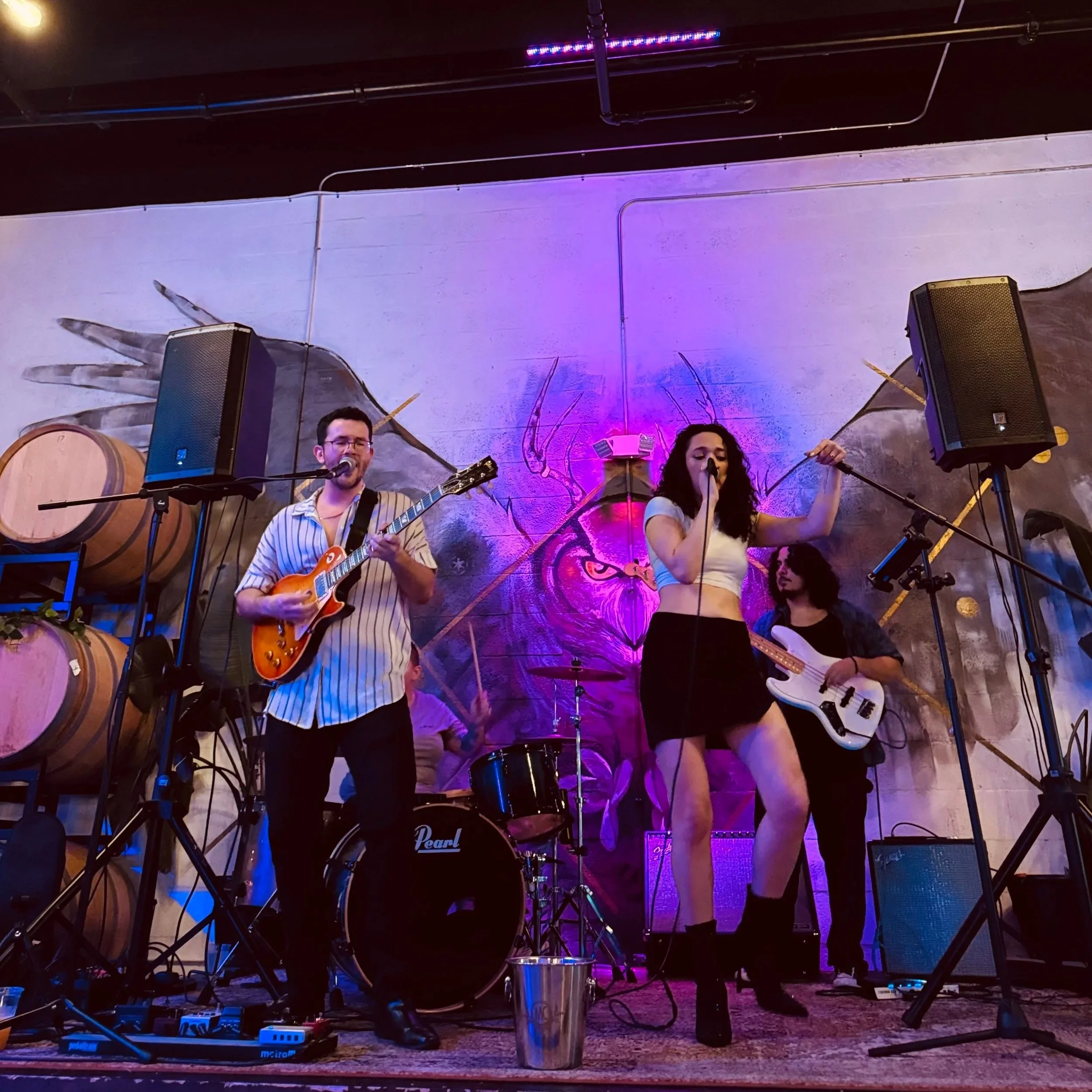 Live band performing onstage under purple lighting, with a singer, guitarist, bassist, and drummer.