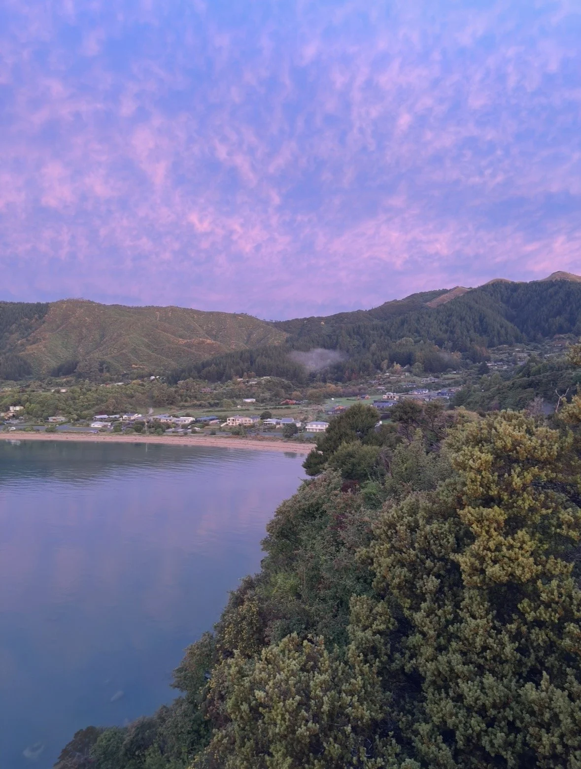 Scenic beachfront village beneath forested mountains and a purple-pink evening sky. Ligar Bay, Golden Bay, New Zealand
