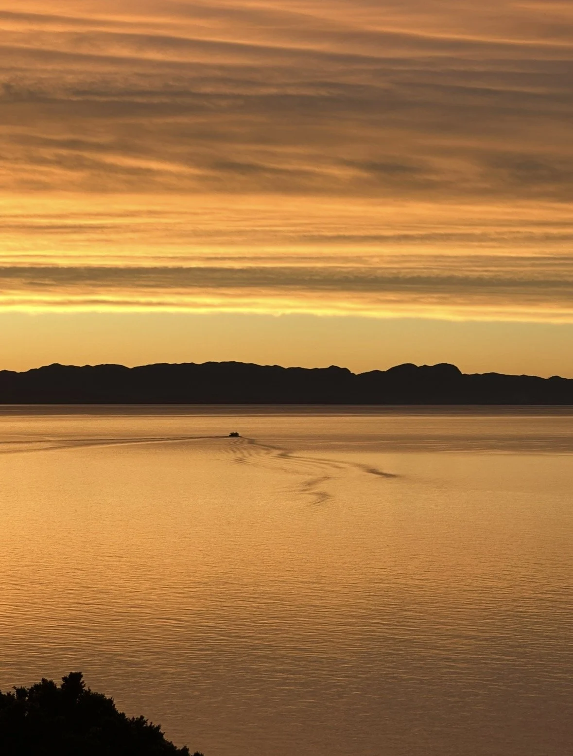 Golden sunset over calm water in Ligar Bay, with distant mountain silhouettes and a small boat leaving ripples. Golden Bay, New Zealand