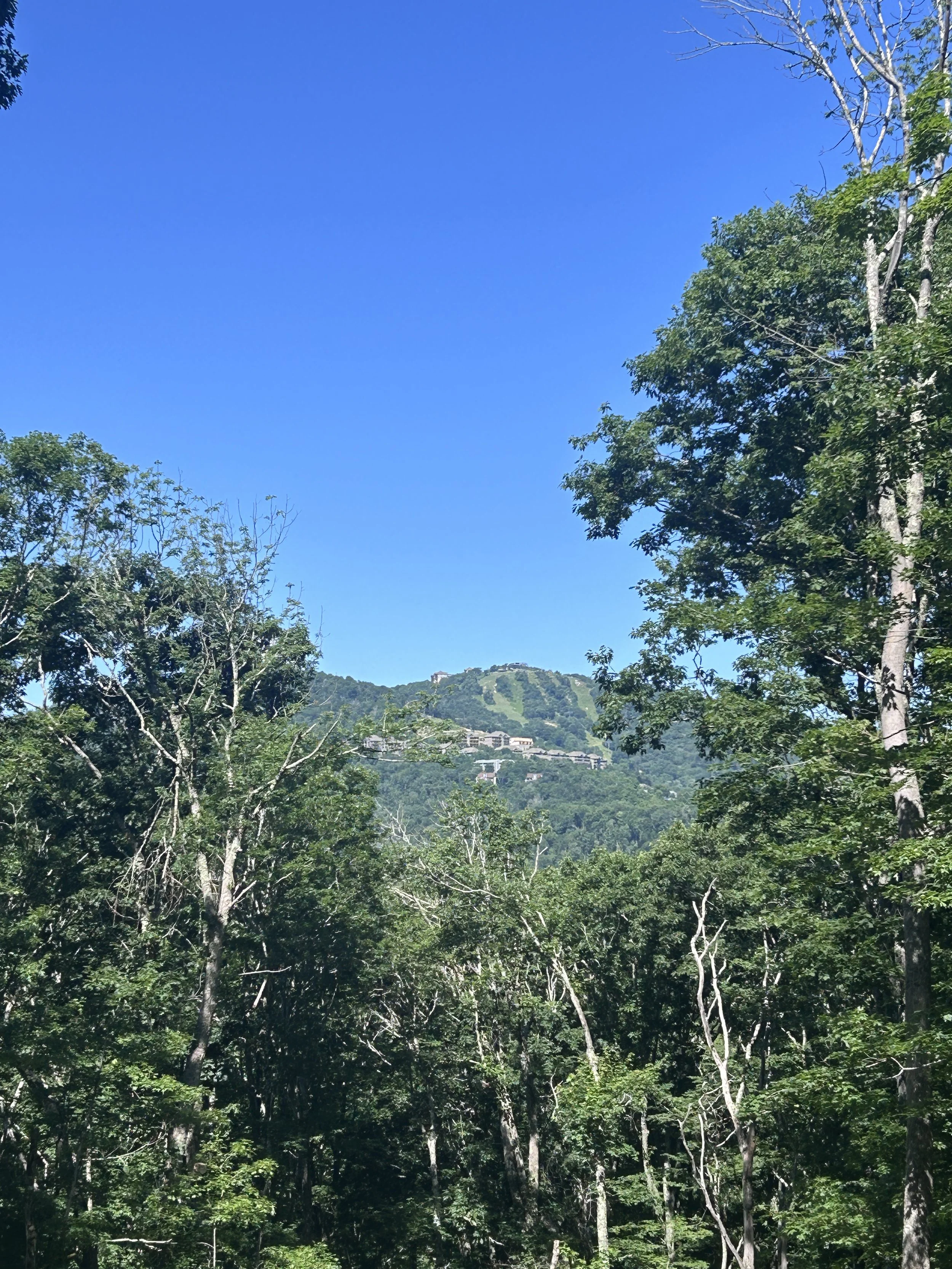 IMG_5992.jpeg