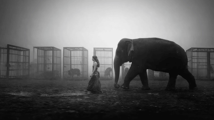 Black-and-white scene of a woman walking beside an elephant in a misty enclosure with animal cages