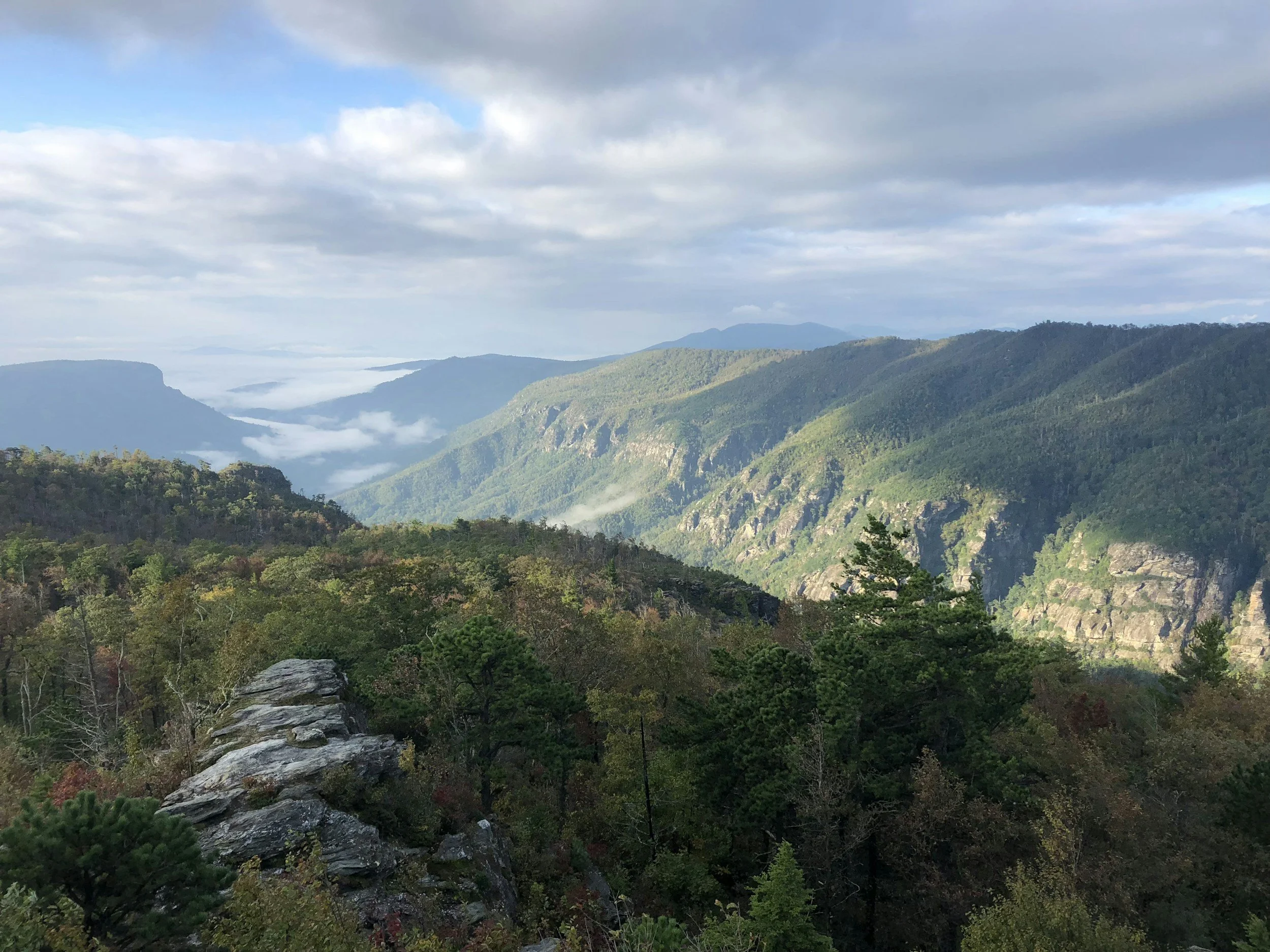Panoramic view of forested mountain ridges and rocky cliffs beneath a cloudy sky