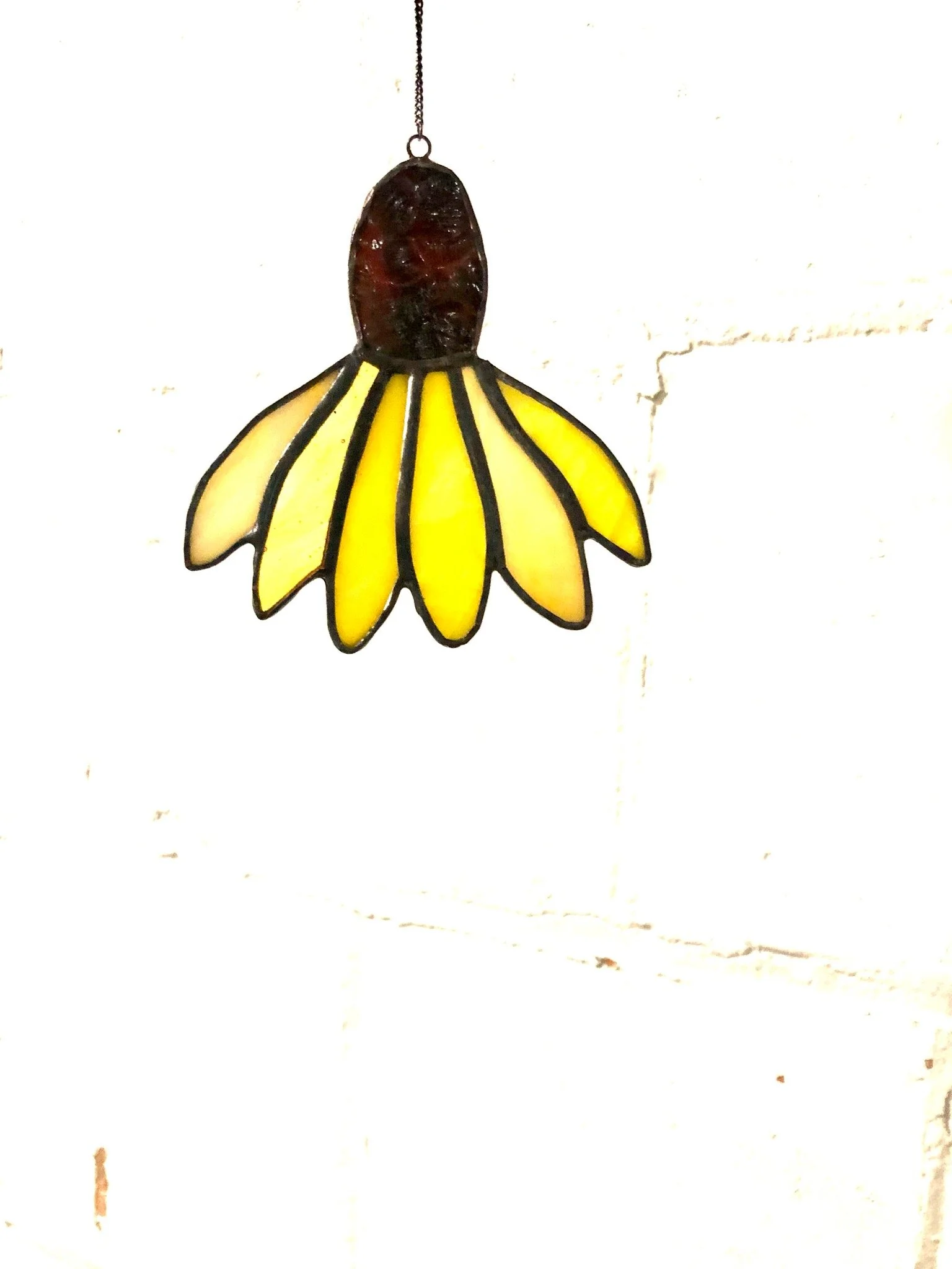 echinacea.jpeg