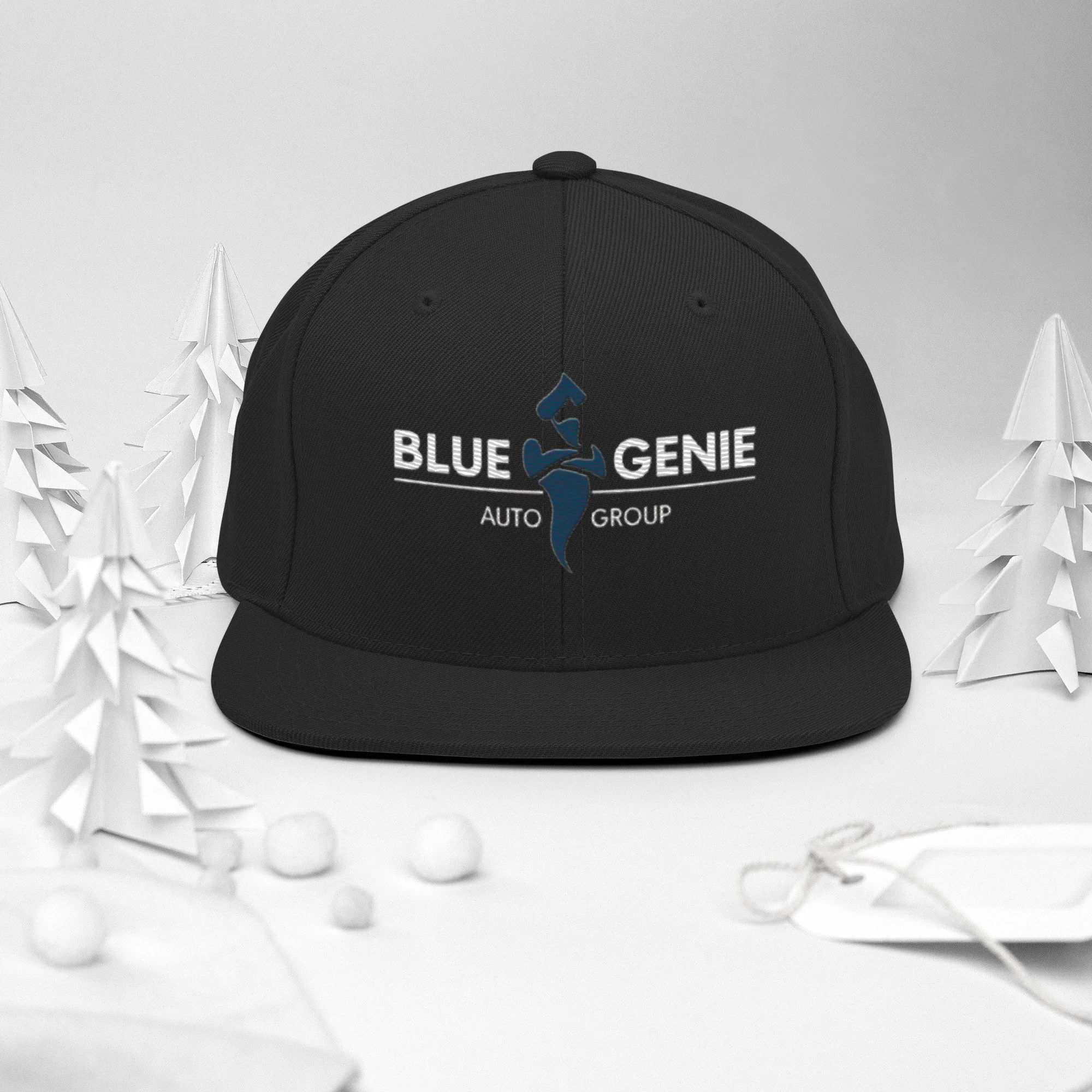 Snapback Hat Alt
