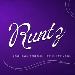 tiki-logo-runtz.png