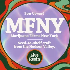 tiki-logo-mfny.png