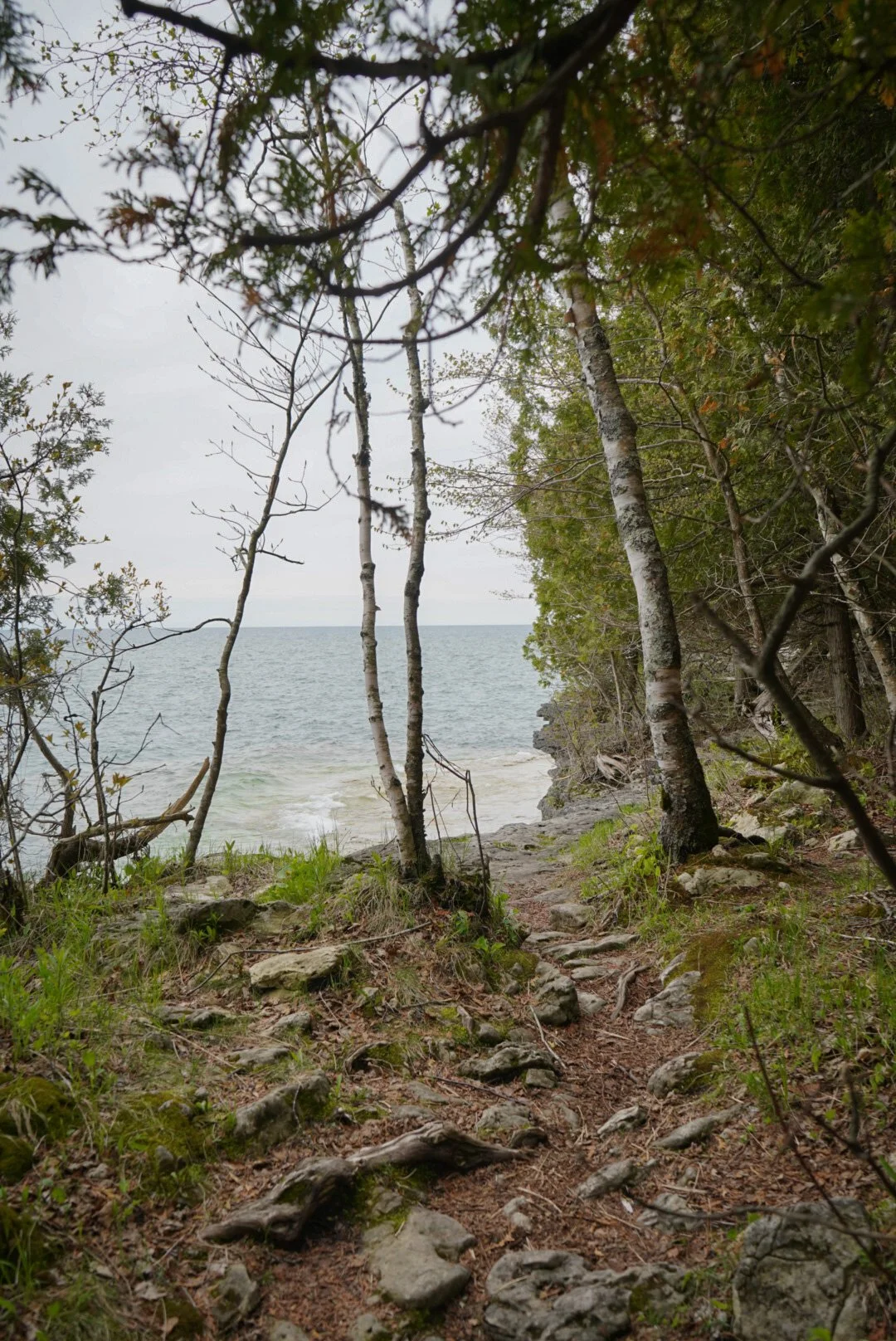 DSC03925.jpeg