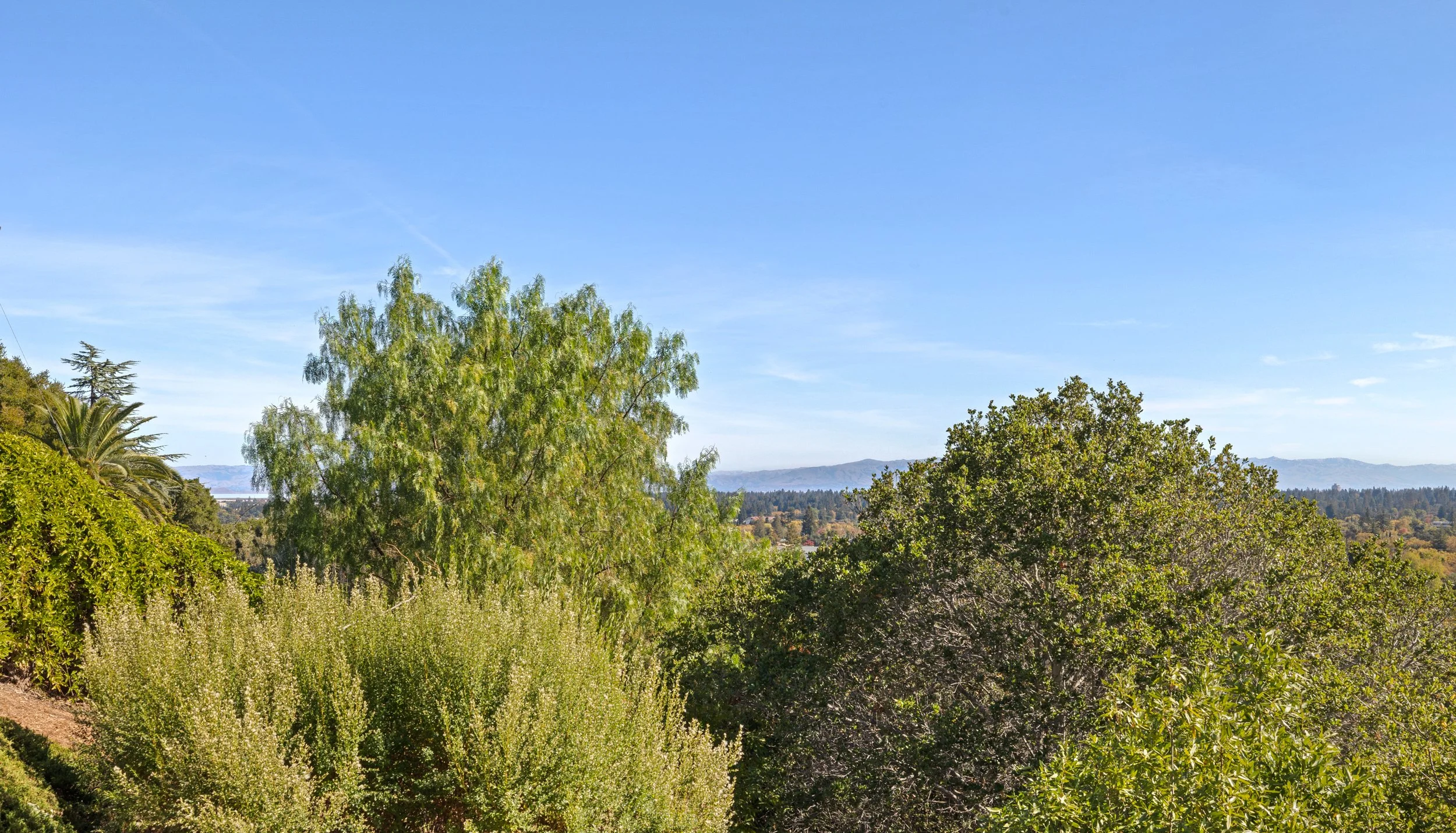26-BrandyRock_Matt_Anello-32-MLS.jpg