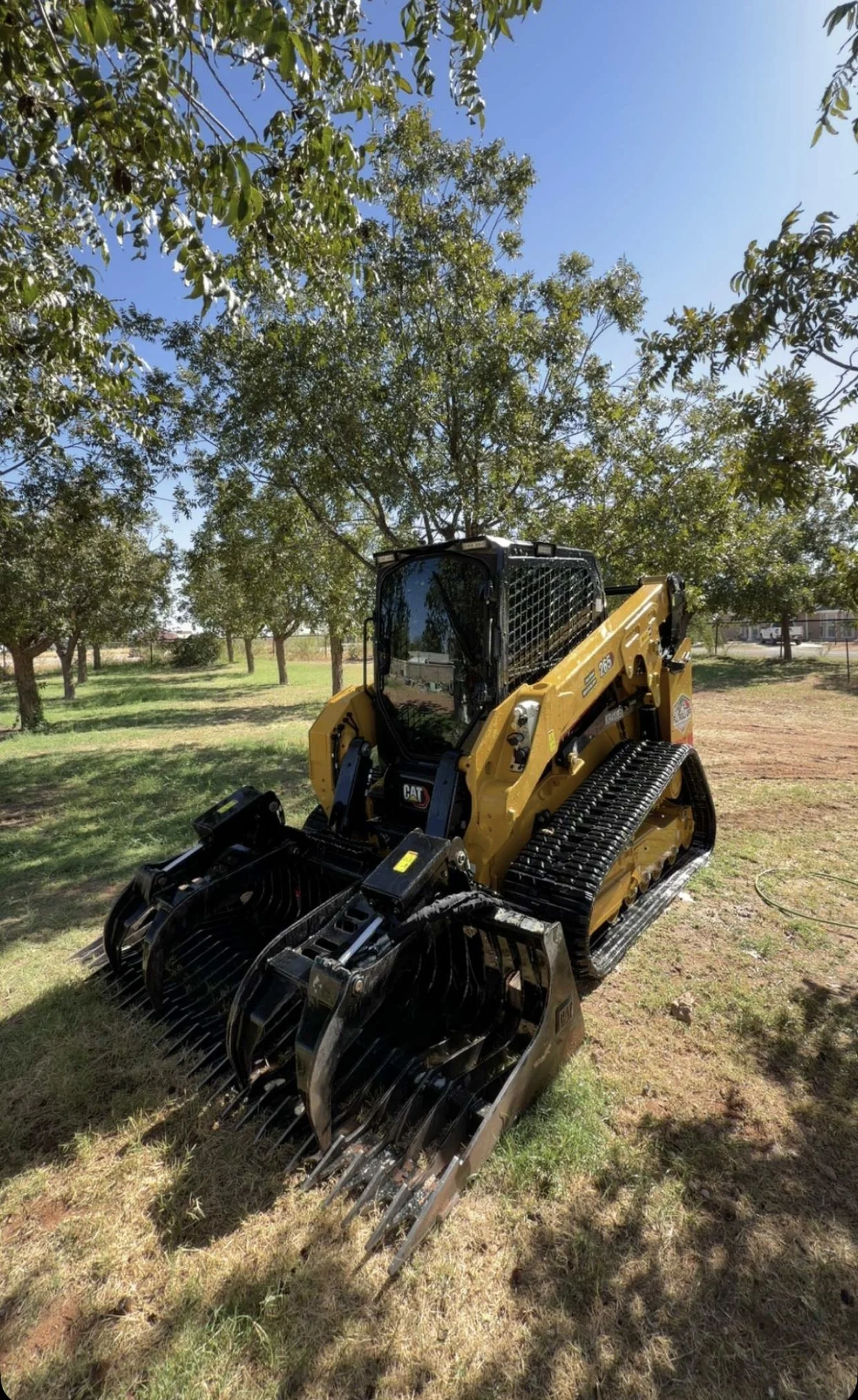 Yellow Caterpillar compact track loader with a grapple attachment parked beneath trees in a grassy orchard.