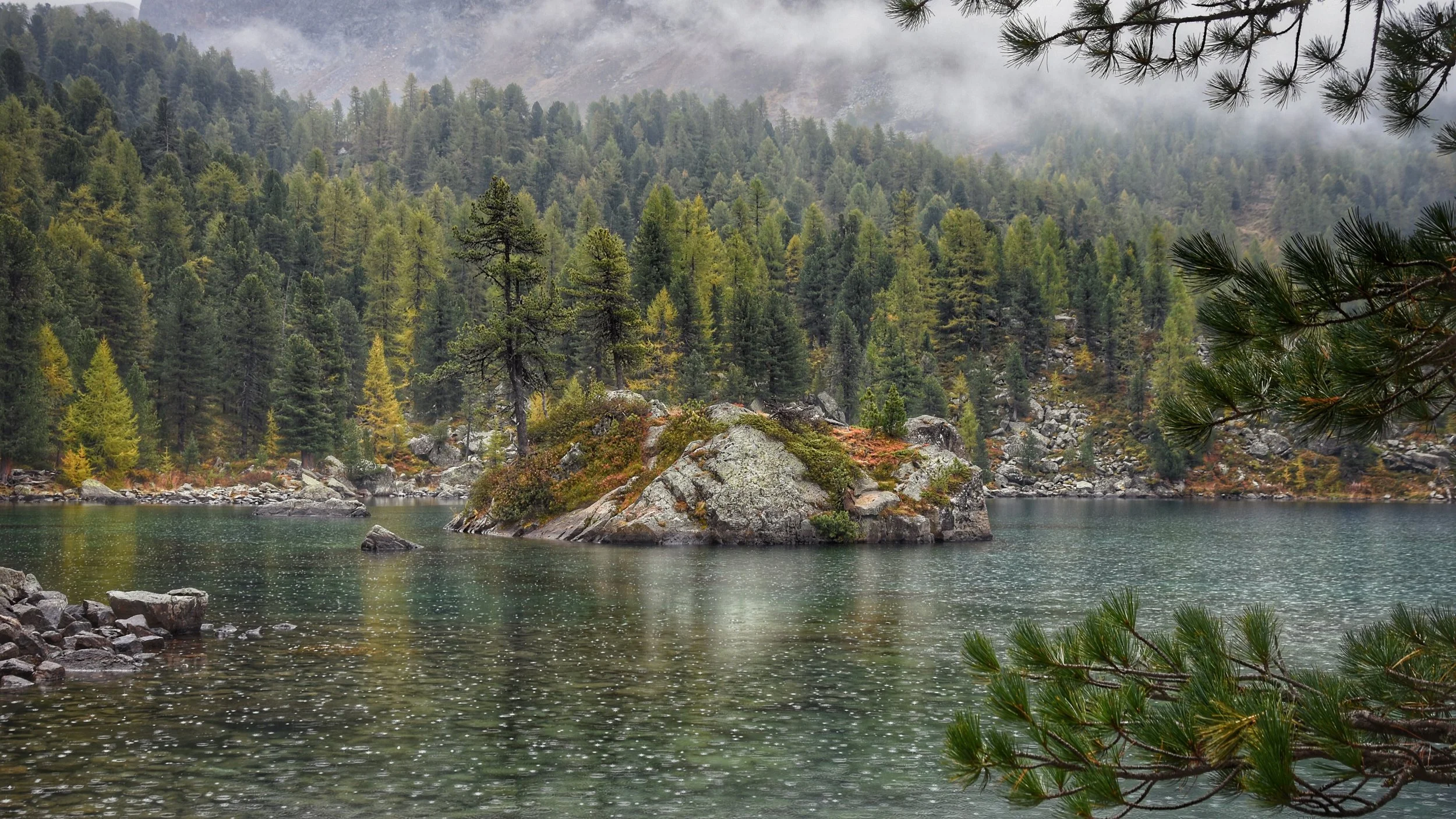 Foggy lake with trees and a rocky island