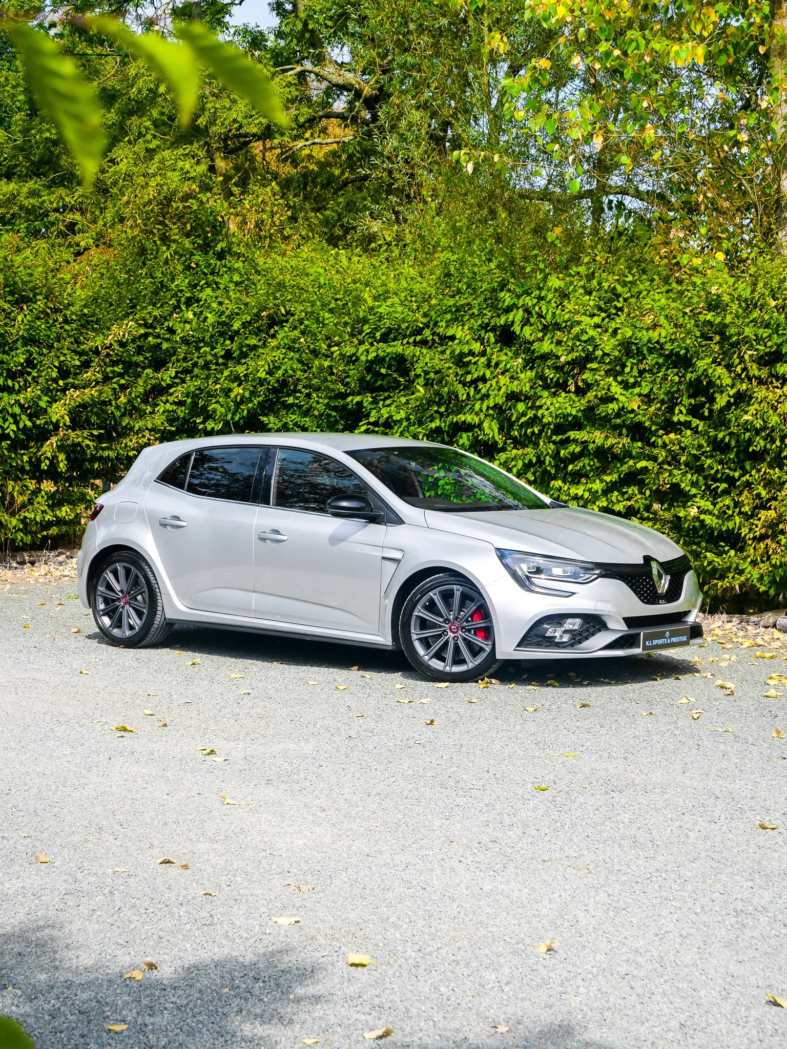 Renault Megane RS - CUP CHASSIS PACK !!!
