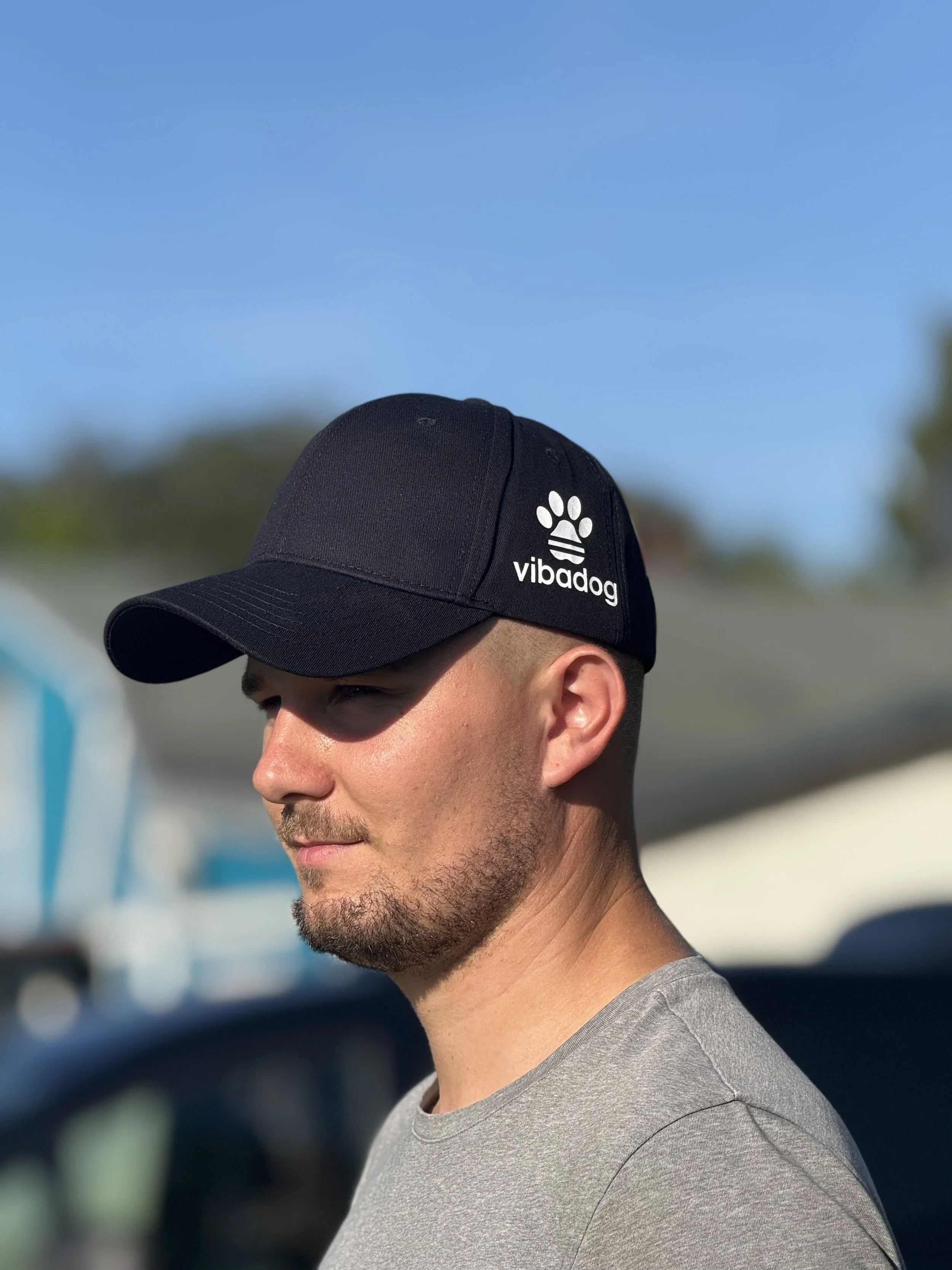 ViBaDog Cap getragen