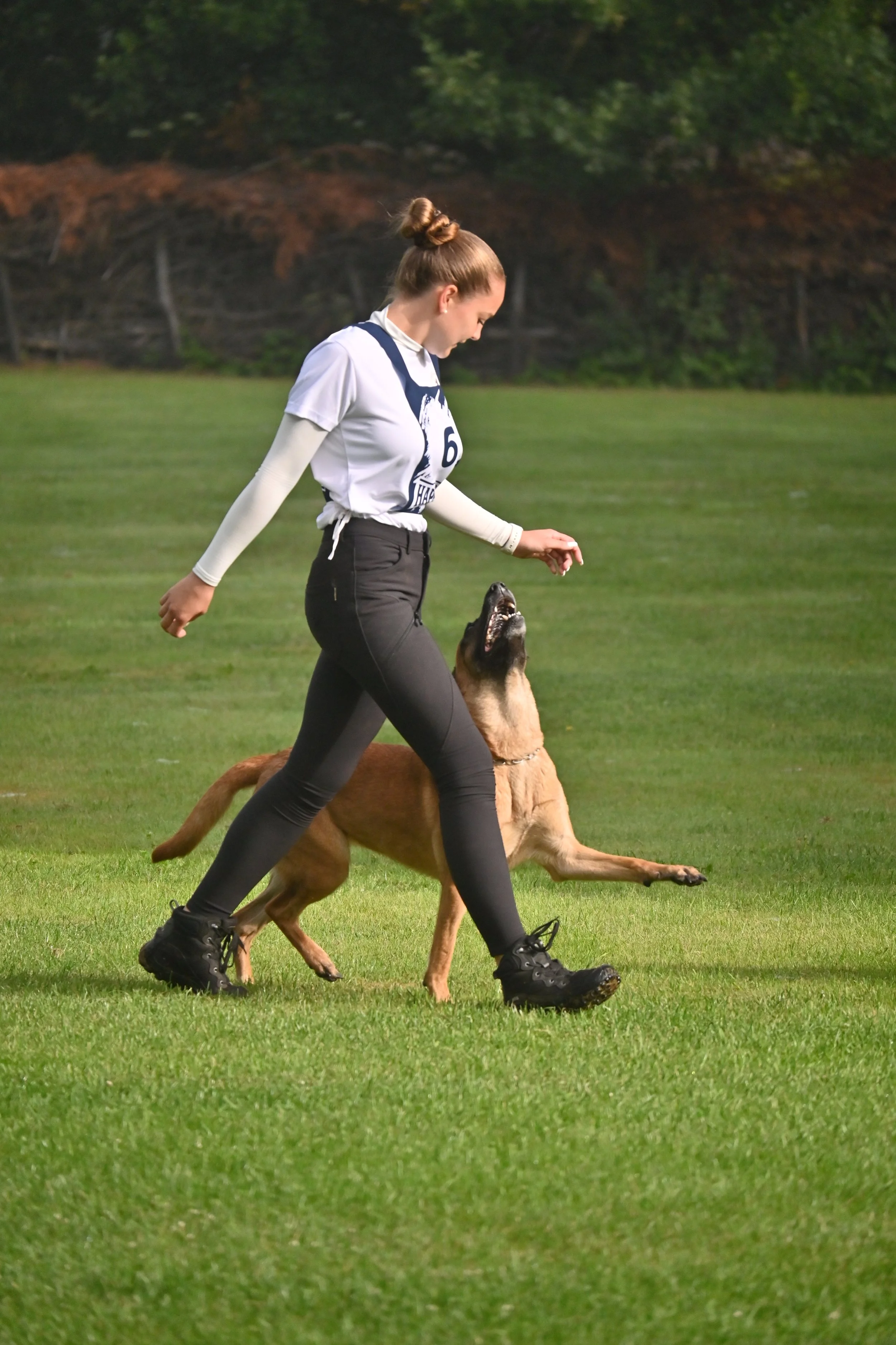 Frau mit Boxer Hund beim Hundesport auf einem grünen Feld, Bäume im Hintergrund.