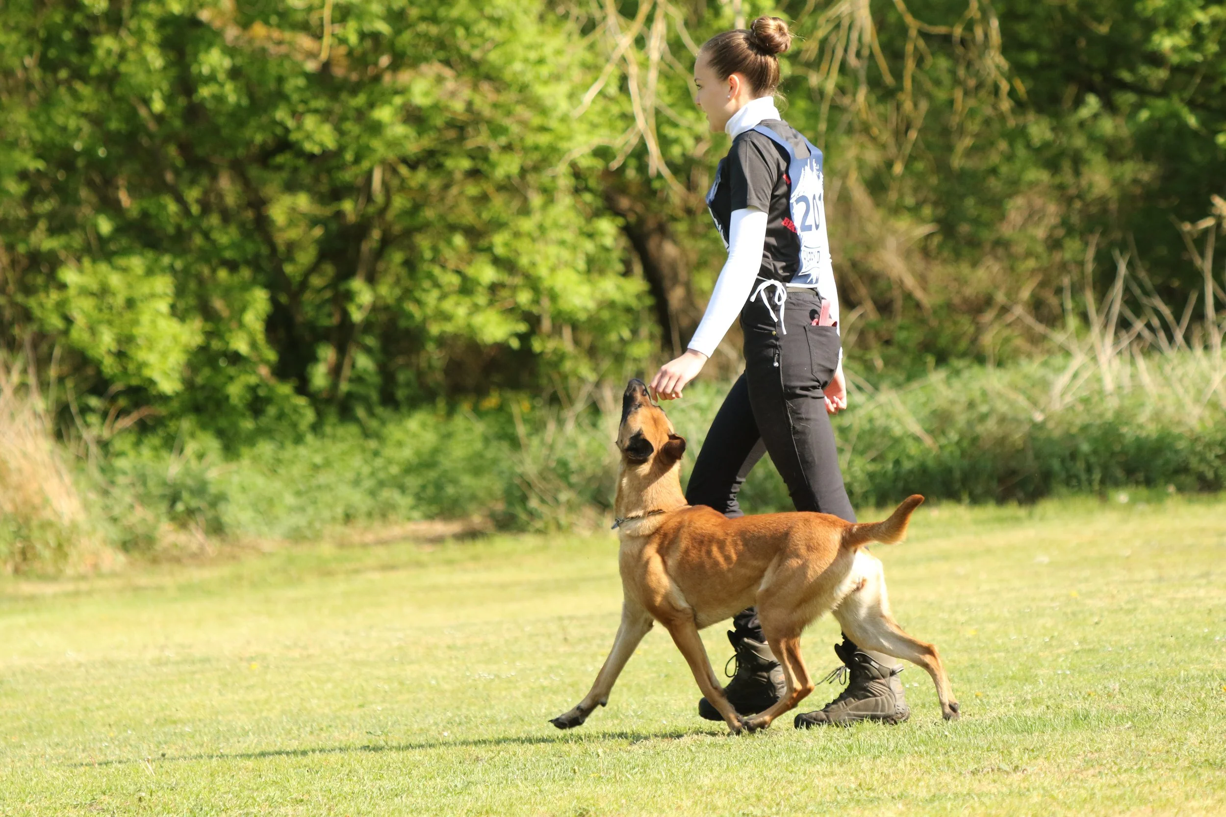 Eine junge Frau in schwarzen Hosen und einem schwarzen T-Shirt mit einem Hund auf einer grünen Wiese, umgeben von Bäumen, während sie spazieren gehen.