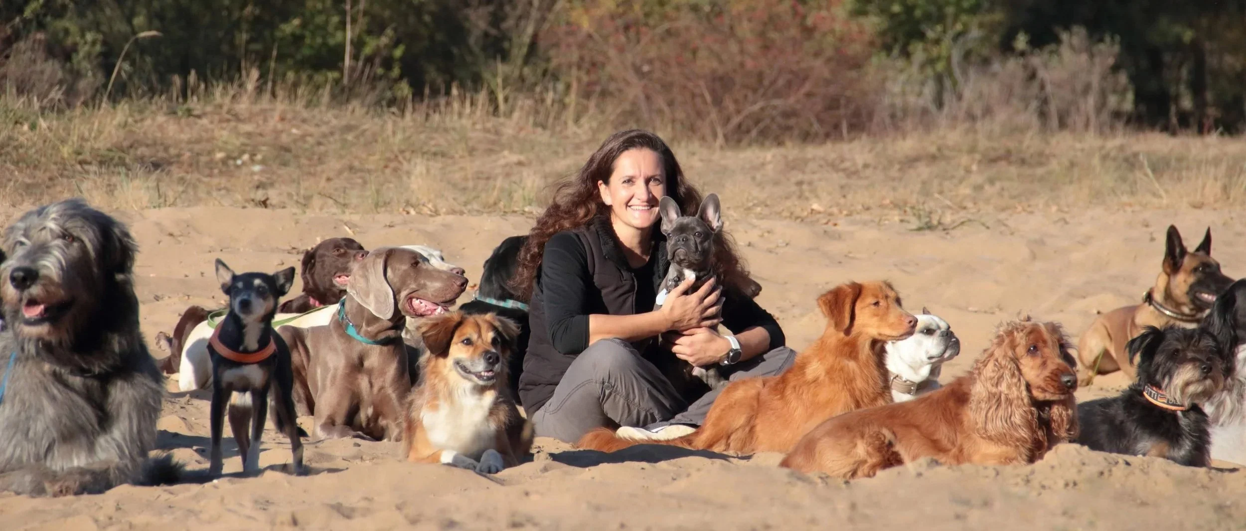 Hundetrainerin Joanna von JoBaDog mit verschiedenen Hunden am Strand – Zusammenarbeit der Hundeschulen JoBaDog und ViBaDog für individuelles Hundetraining und Hundeerziehung.