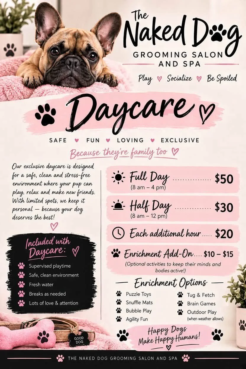 The Naked Dog Grooming Salon and Spa daycare flyer featuring a French bulldog, daycare pricing, included services, and enrichment activities.