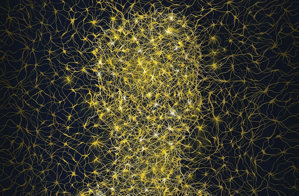 Nature: Decoding the Neuroscience of Consciousness