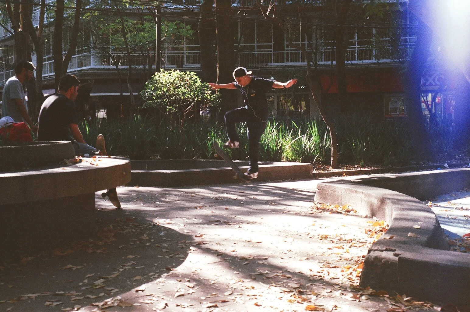 38640018.JPG