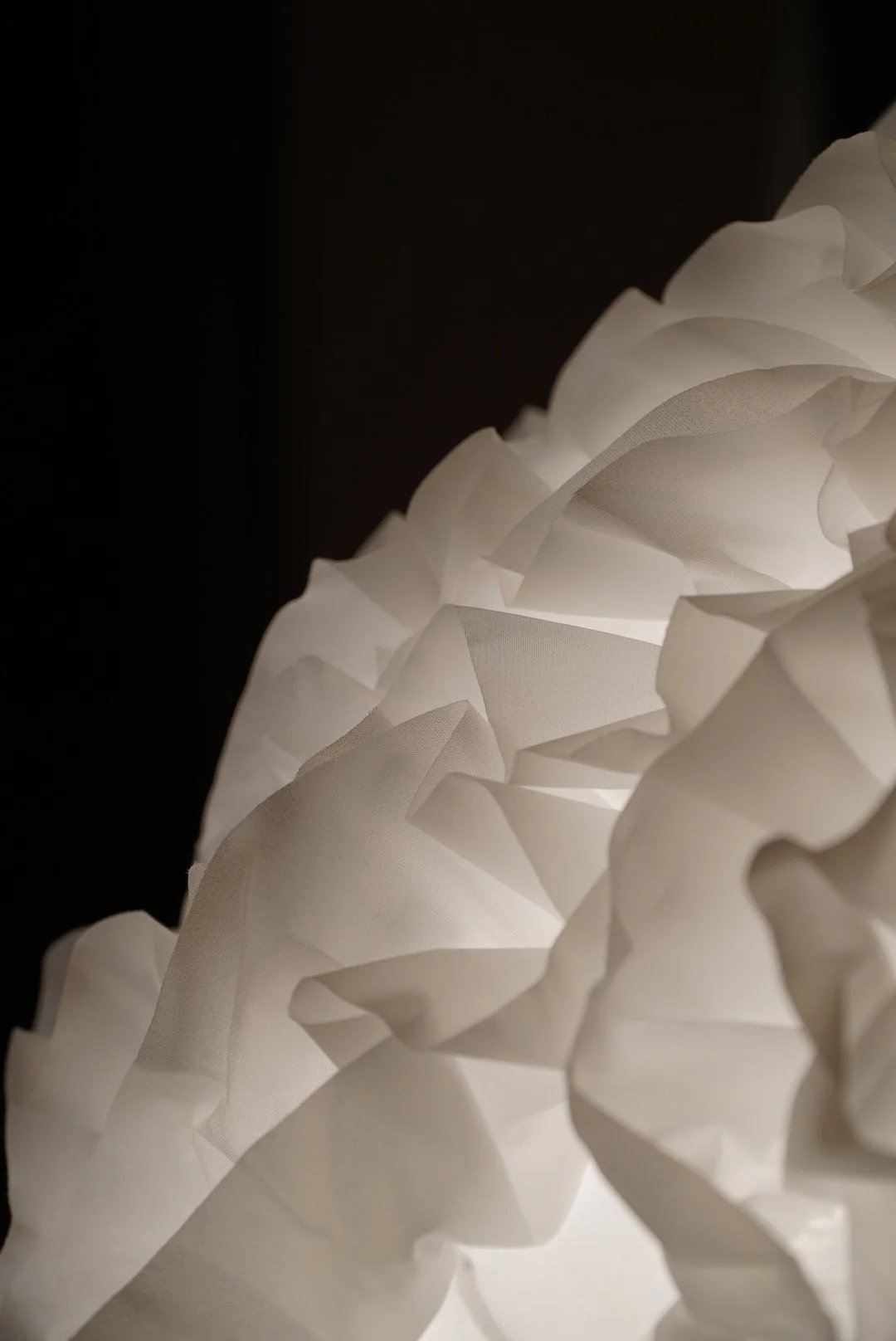 B3868450-7185-4395-A8E1-A3F32BC591FF.jpeg
