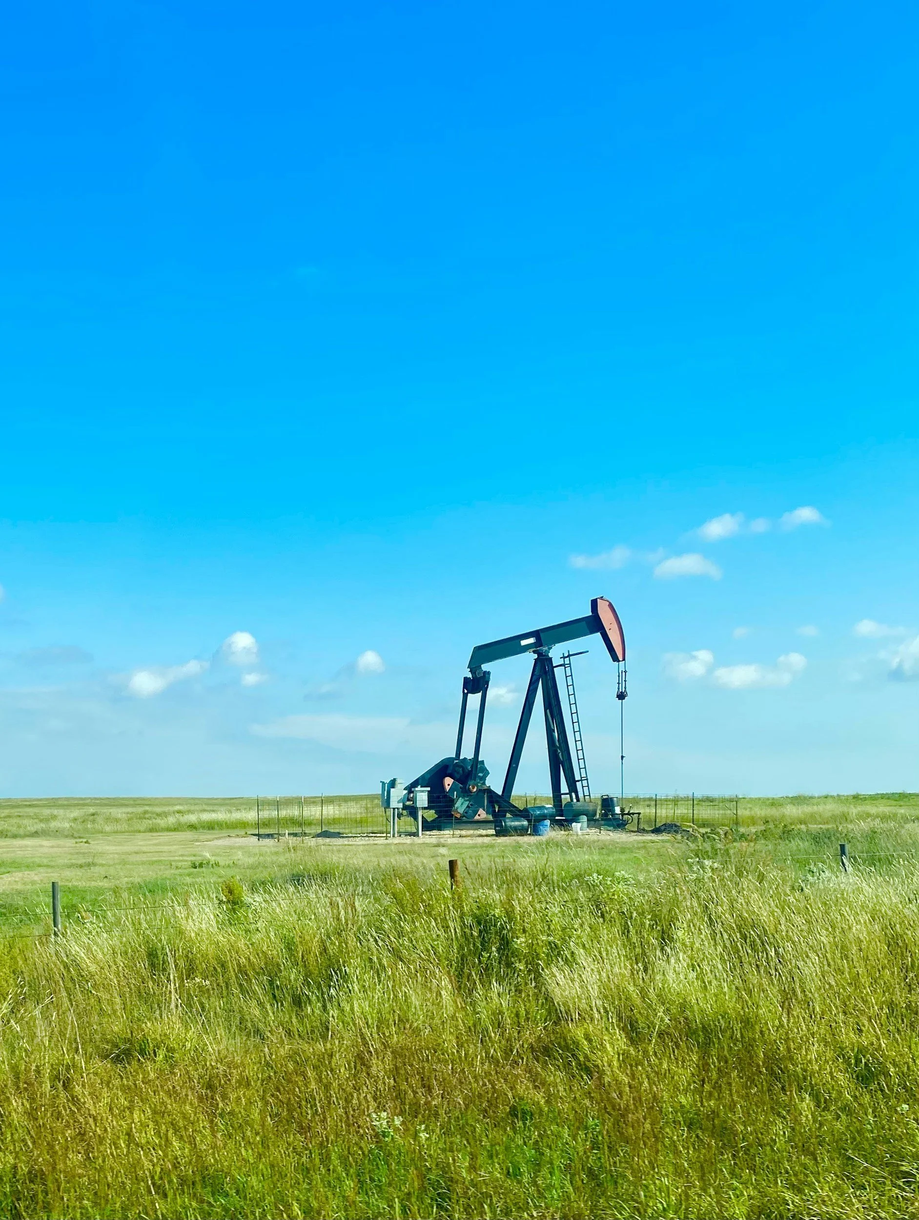 Oil pumpjack operating in a grassy field beneath a bright blue sky