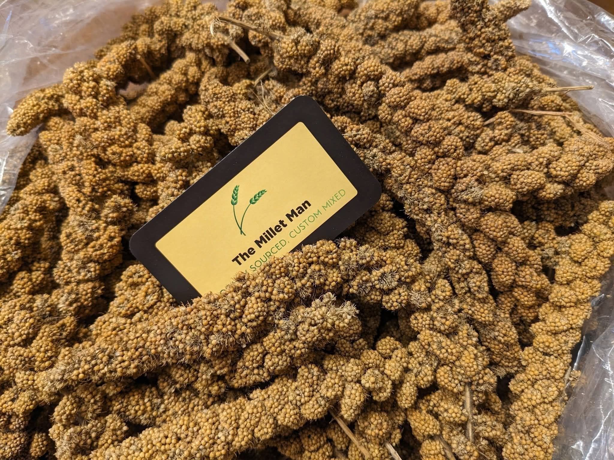 The Millet Man's Wisconsin Spray Millet