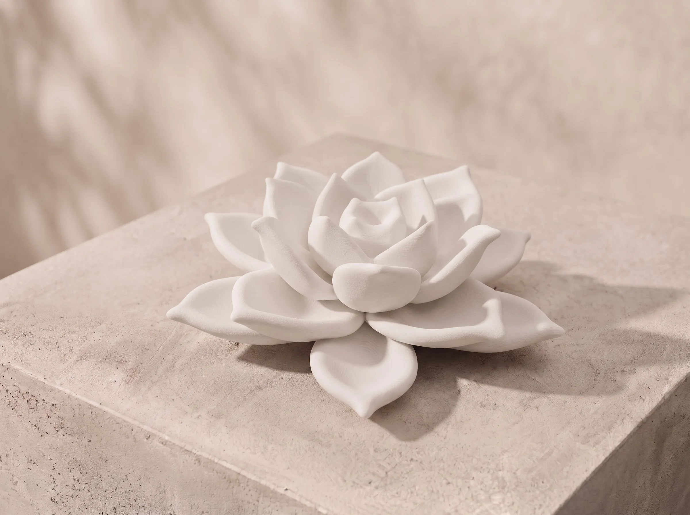 Botanical Display (Succulent / Lotus)