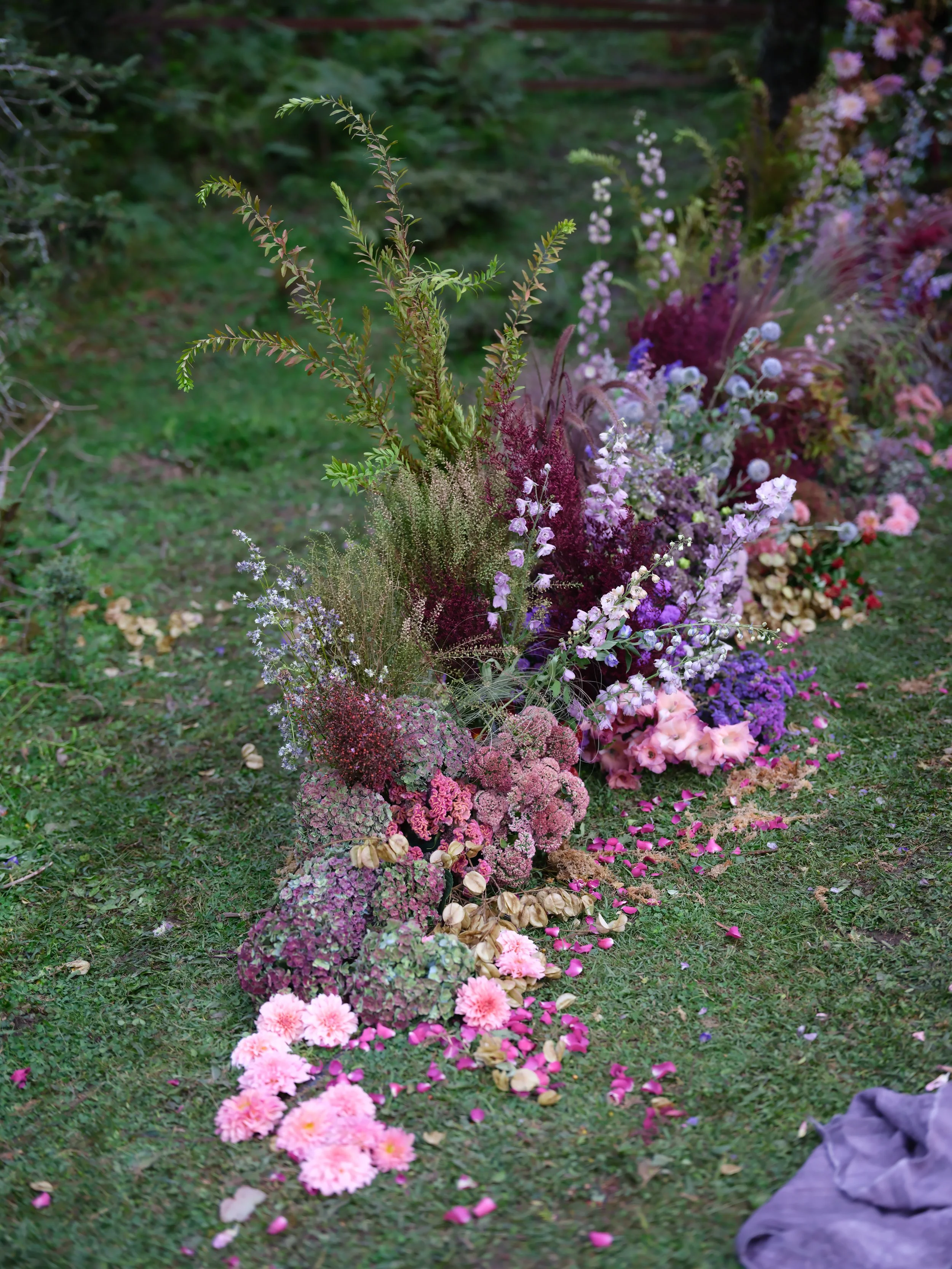 DSCF7350.JPG