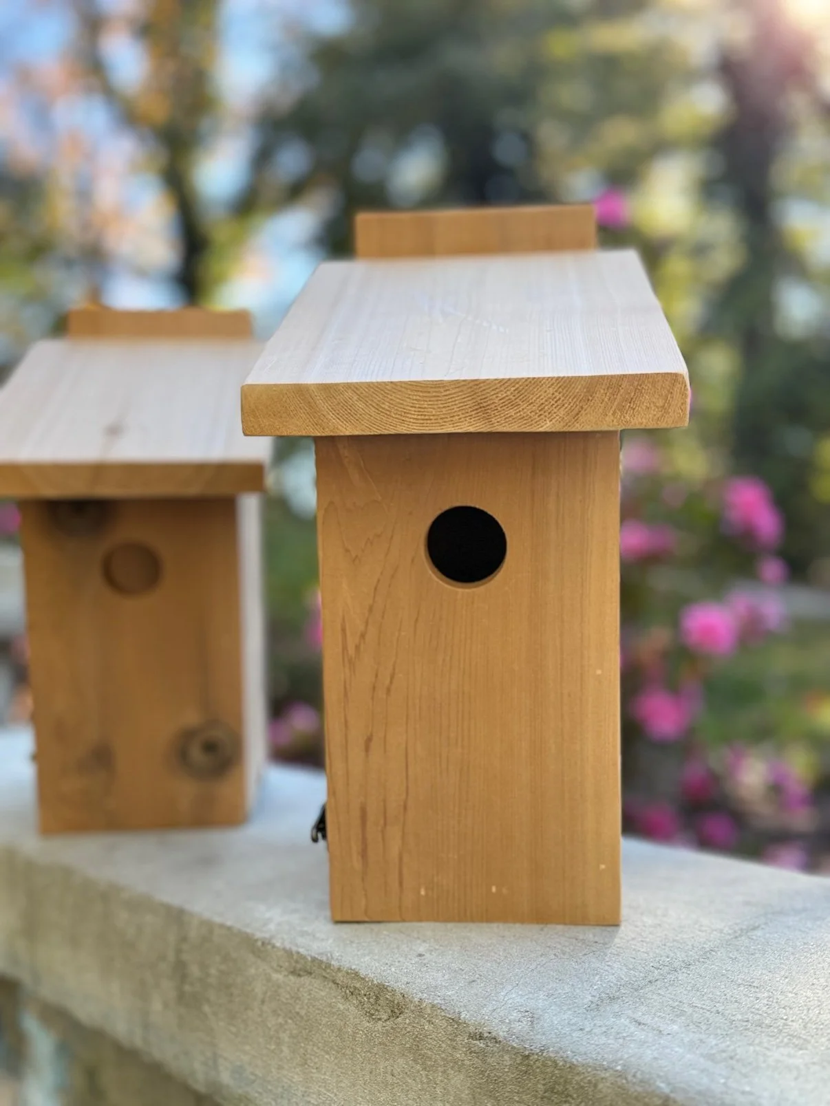Two handcrafted cedar nestboxes outdoors