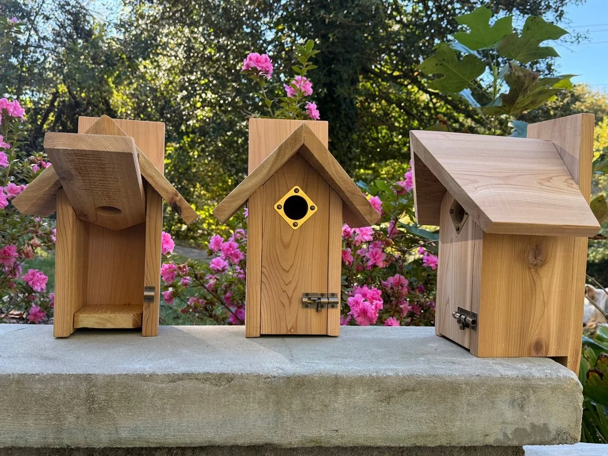 Bluebird Cottage outdoors on a stone surface, shown among other wooden nestboxes with trees and pink flowers in the background
