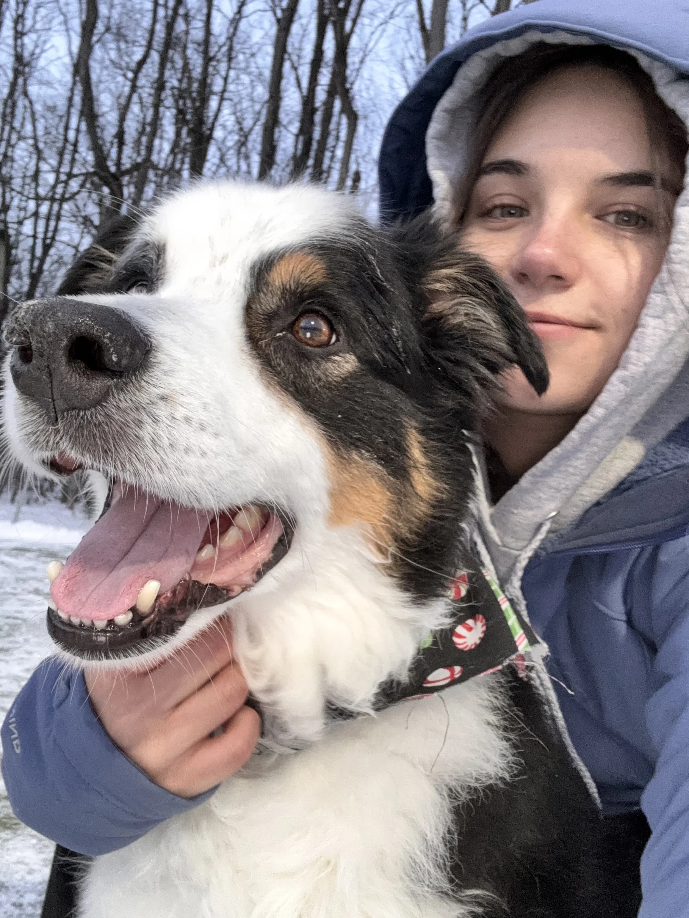 Person in a hooded jacket hugging a happy black, white, and brown dog outdoors in a snowy forest.