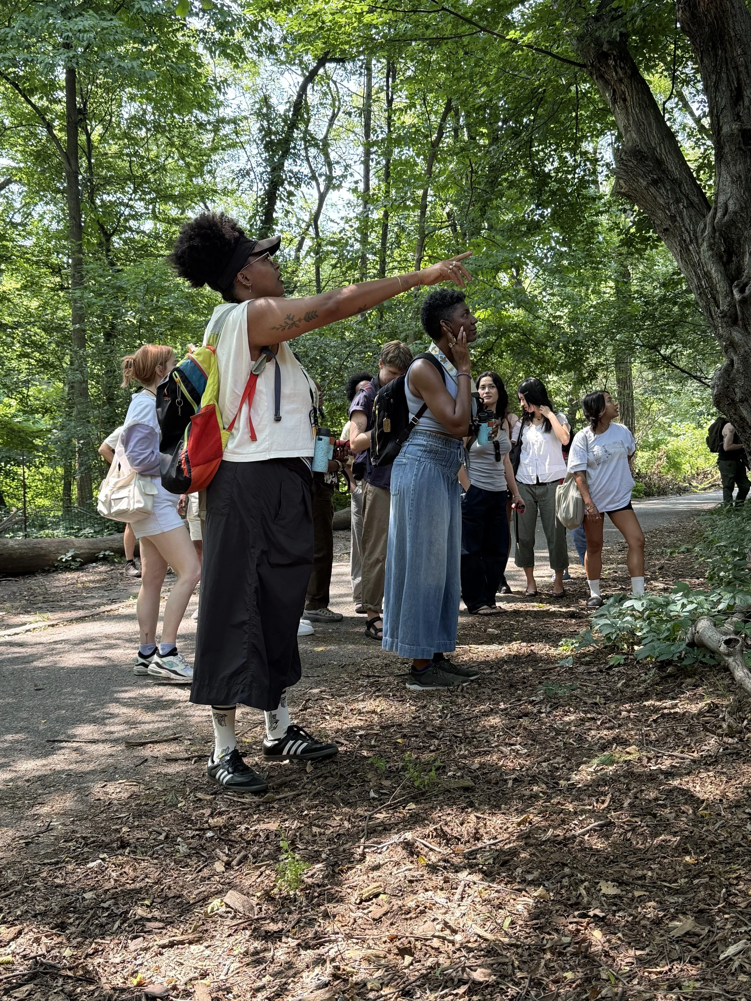 Group of people hiking on a shaded forest trail, with one person pointing toward a large tree.