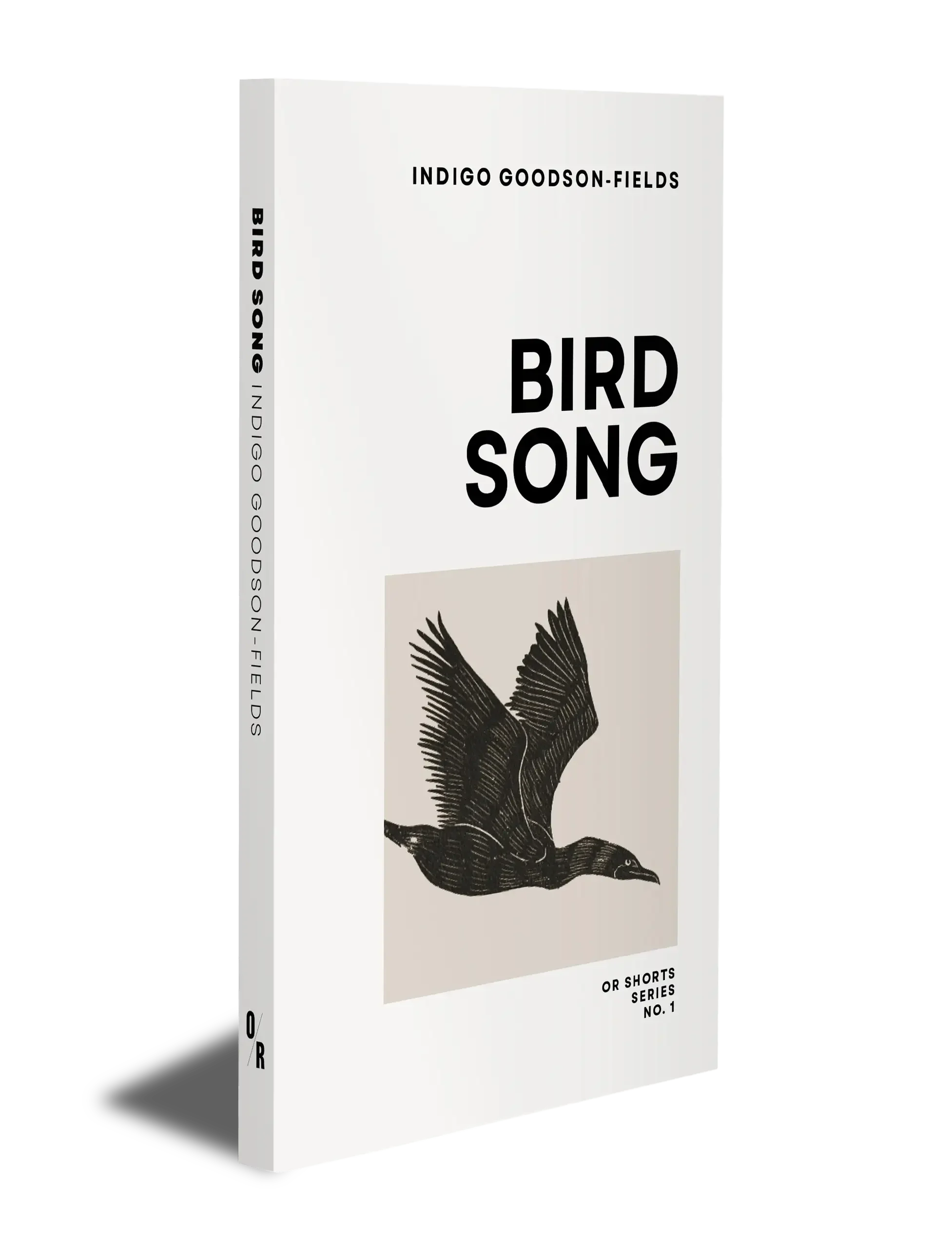 Bird Song Book Photo