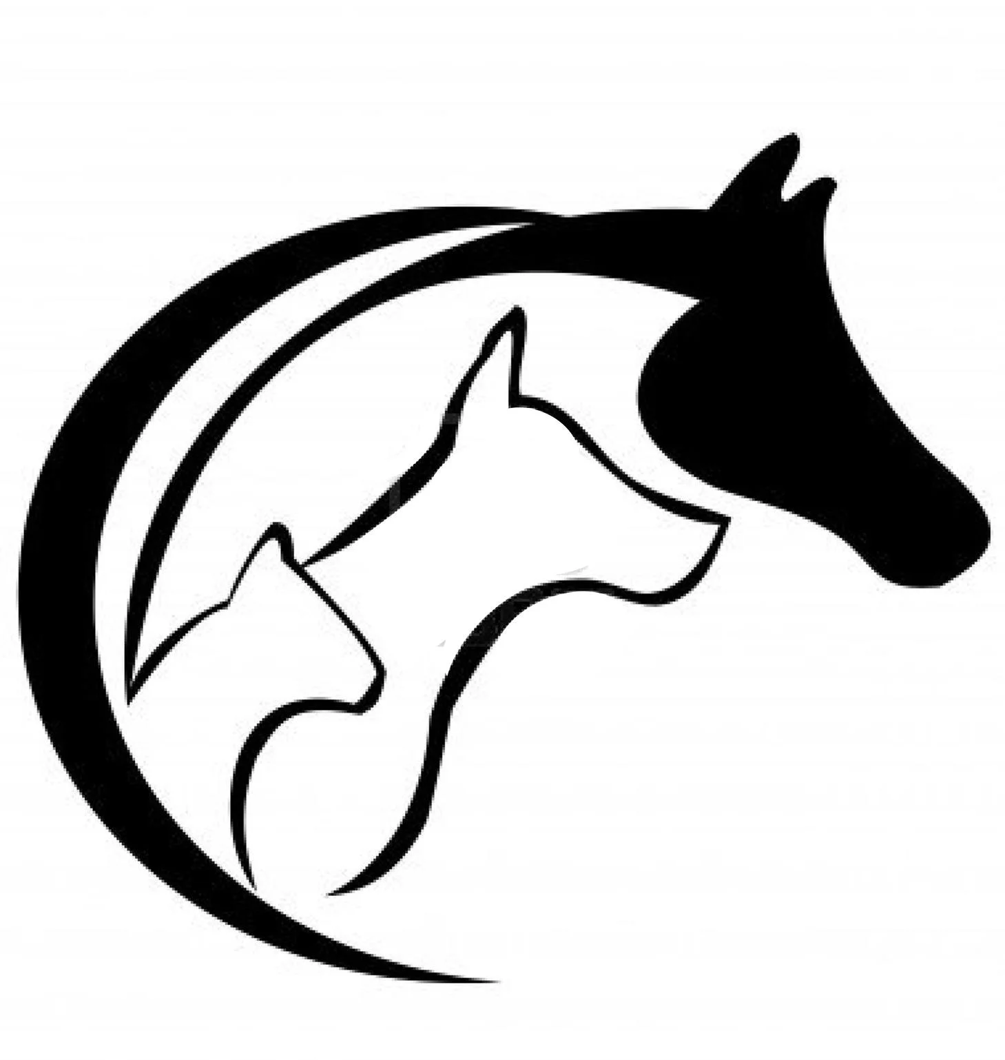 Breezy Hill Veterinary Dermatology