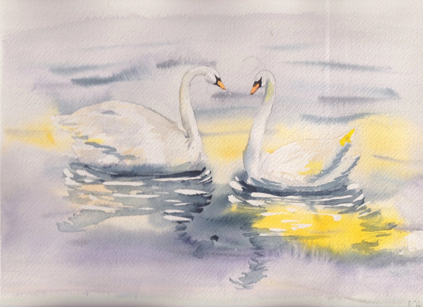 Artboard+1swans.jpg