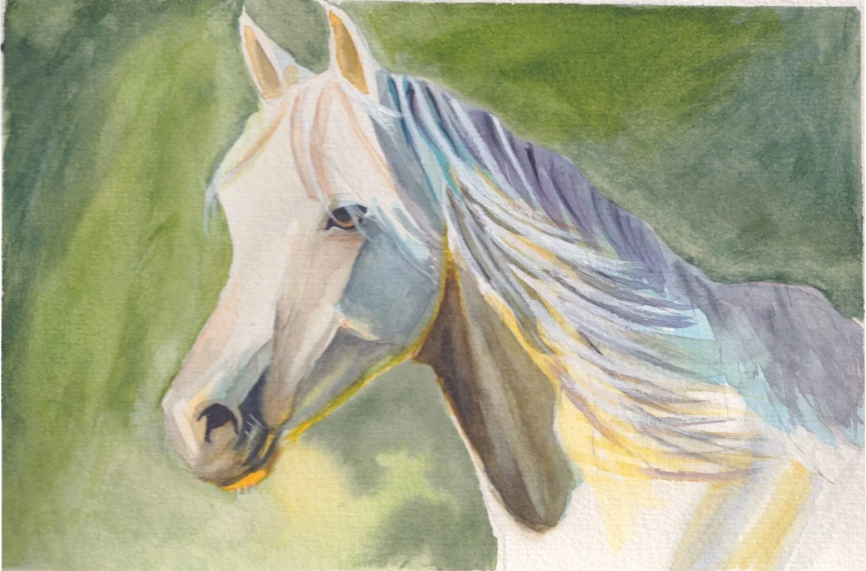 Artboard+1white+horse.jpg