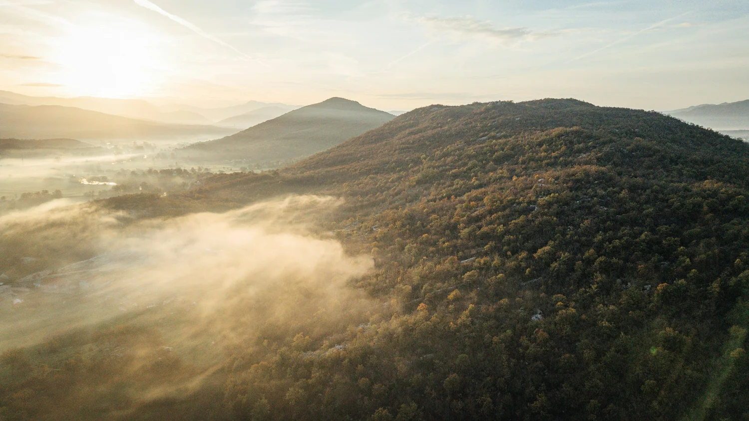 Morning light over forested hills