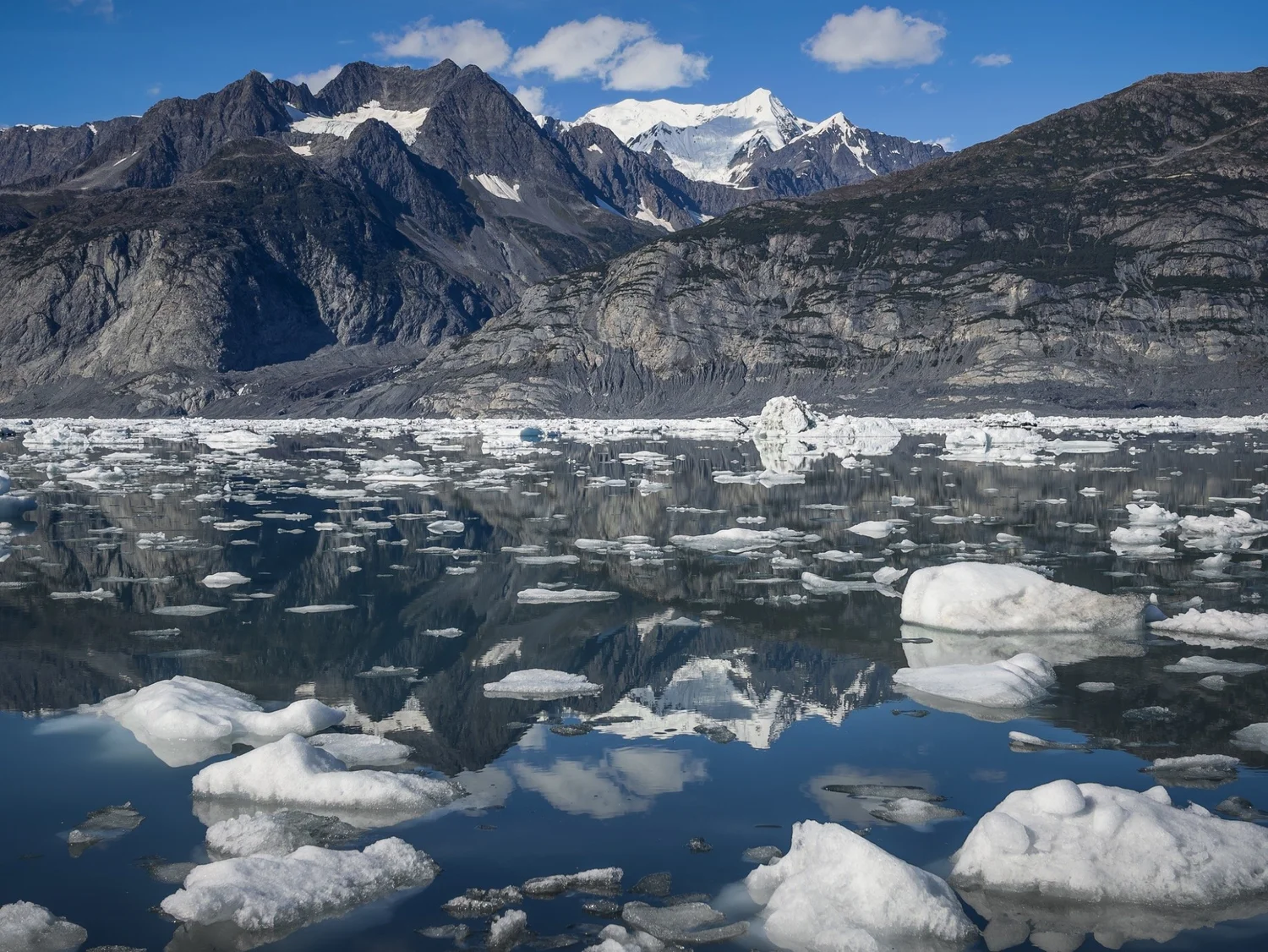 Floating ice reflected in a glacial lake