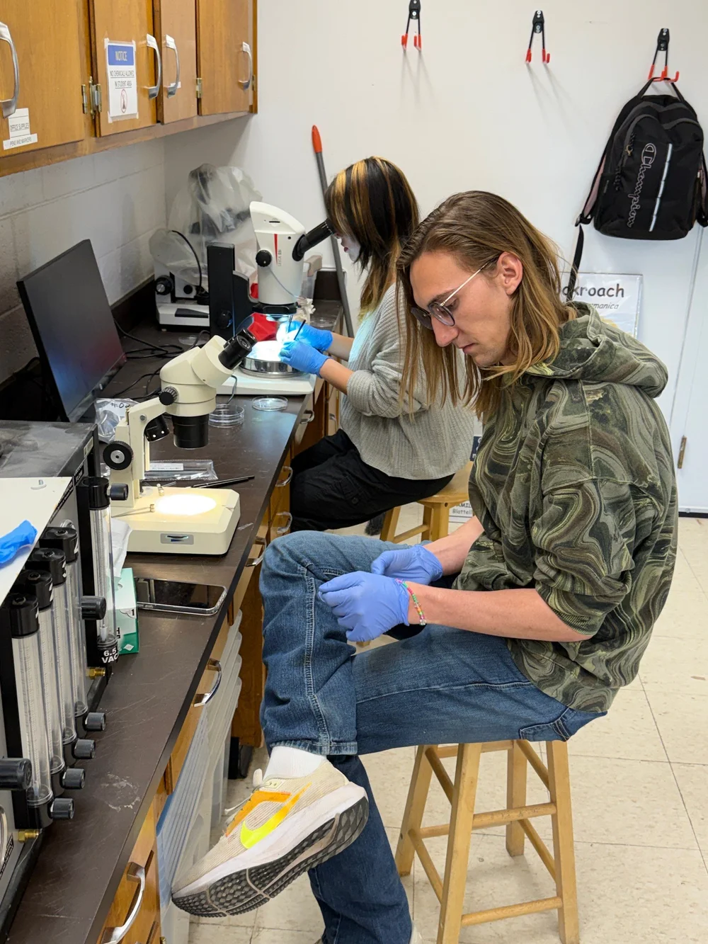 Alexis and Hank working with secondary screwworm in the NMSU lab.