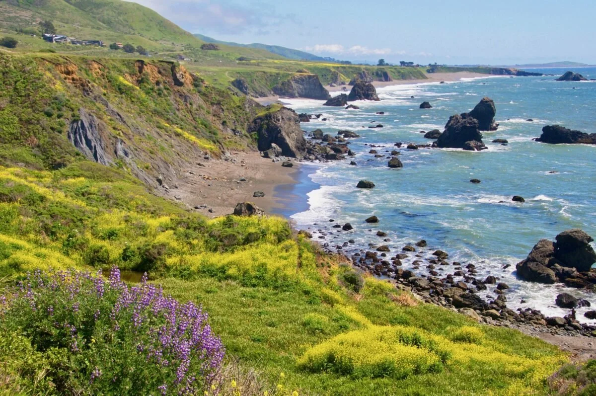 Shoreline at Sonoma Coast State Park
