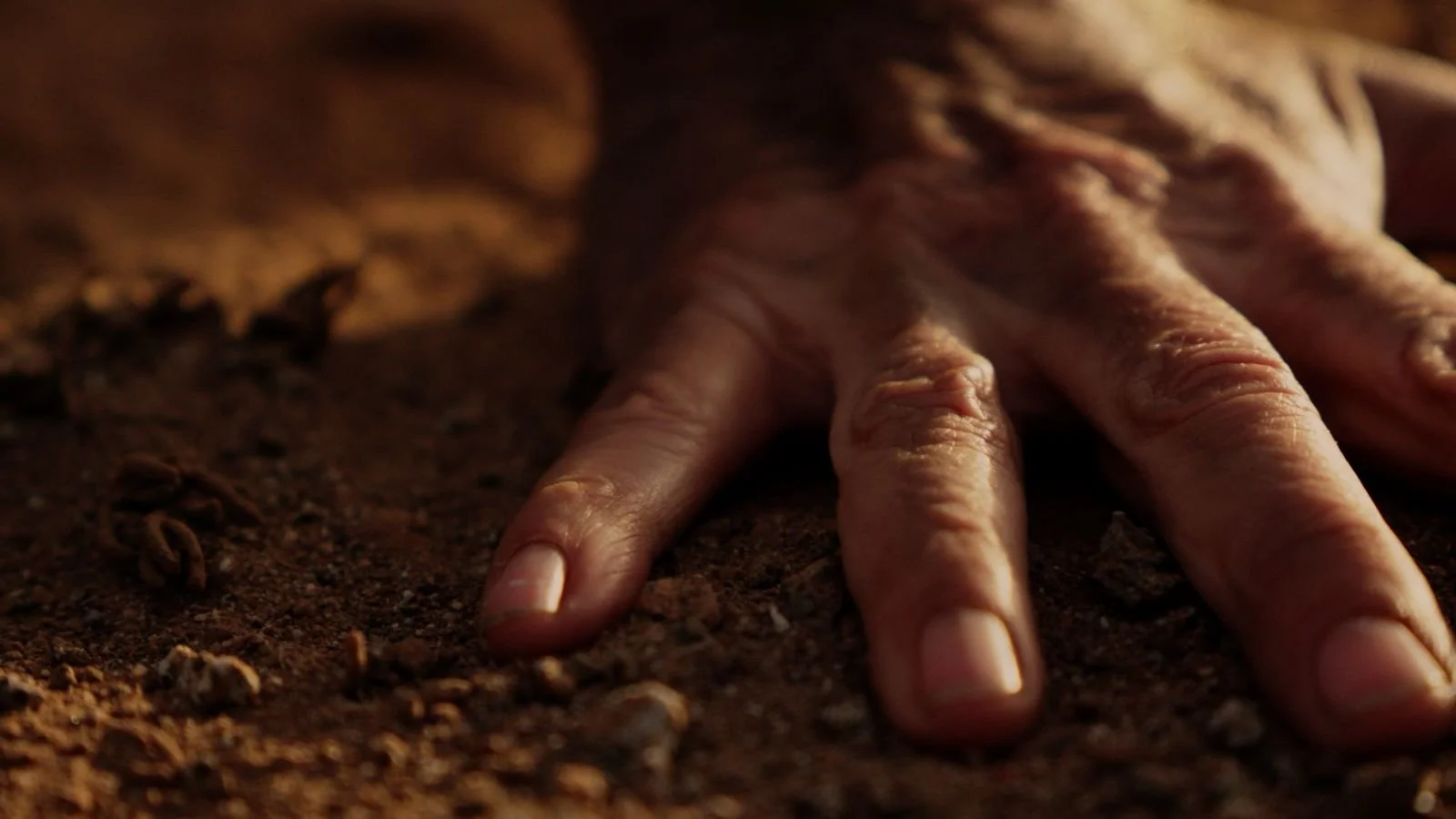 Close detail of a hand resting against rock in MISSING FACE